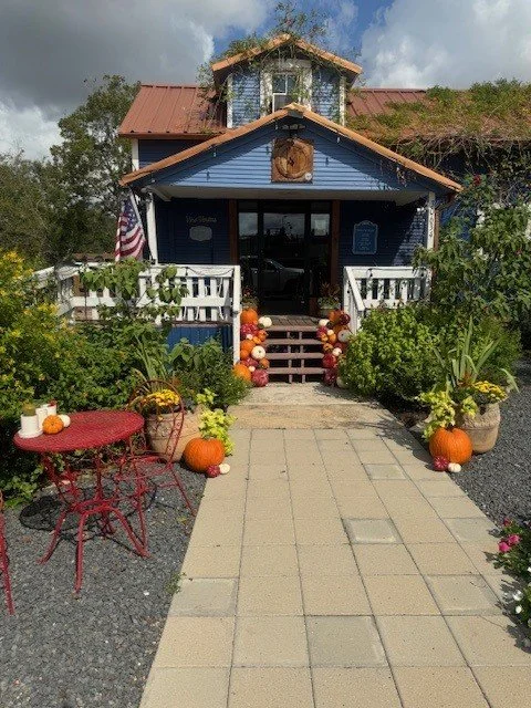 Painted Pumpkin Display