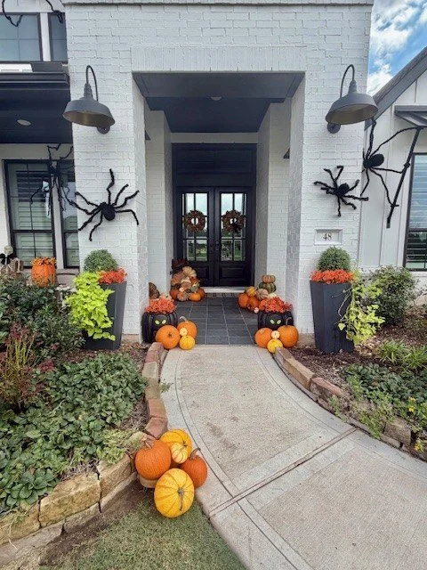 Large Pumpkin Package