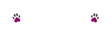 Donna's Doodles &amp; Poodles