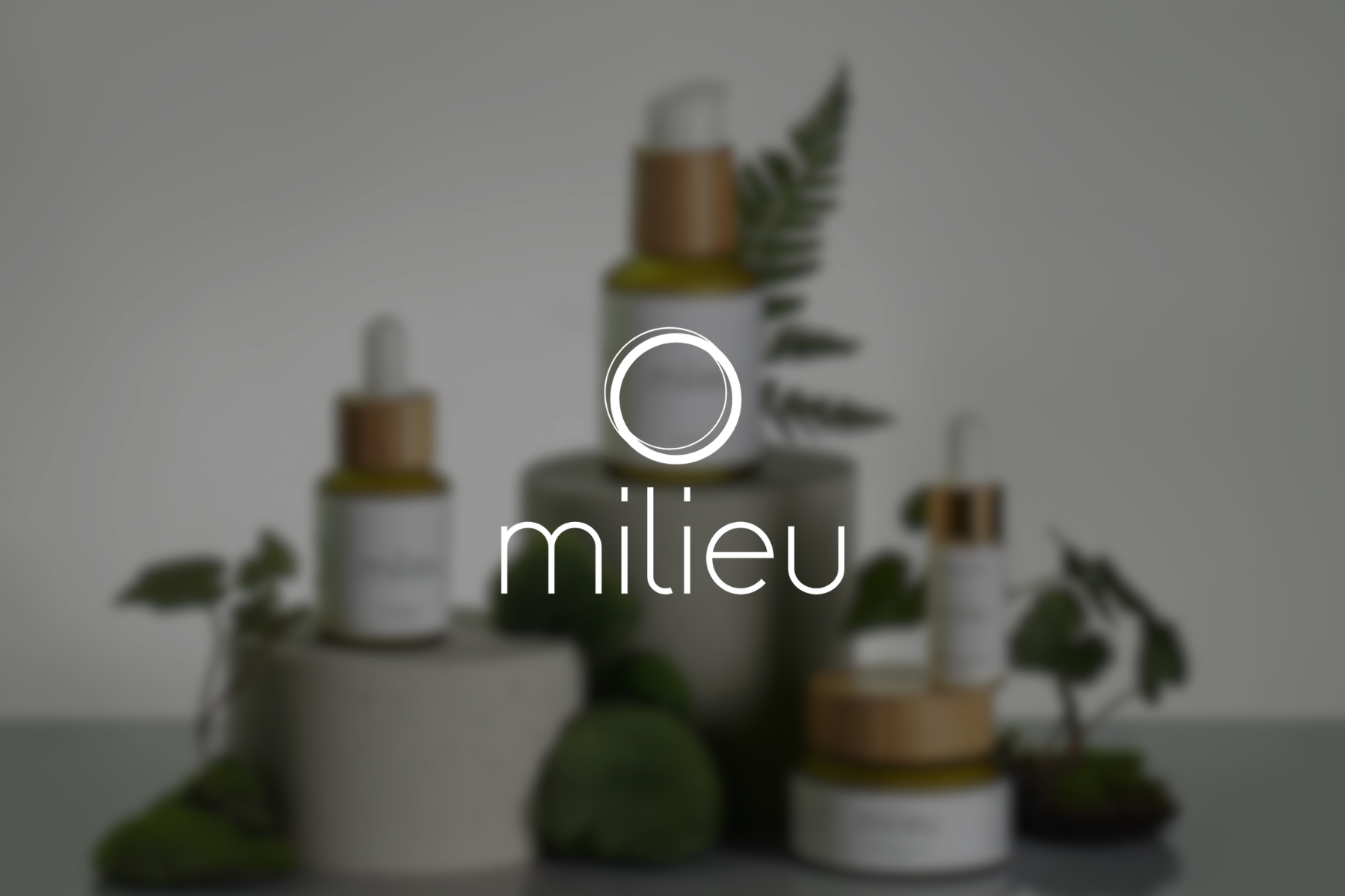 Milieu Marketing Project