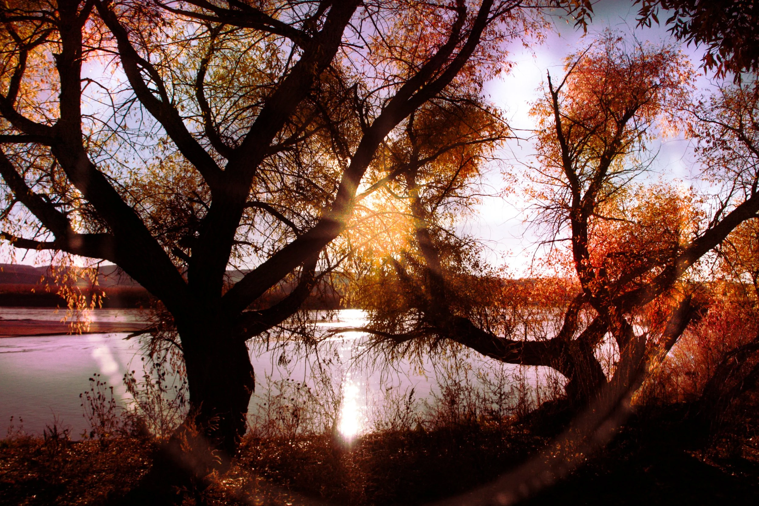 Sunshine through trees reflecting on a river during autumn.