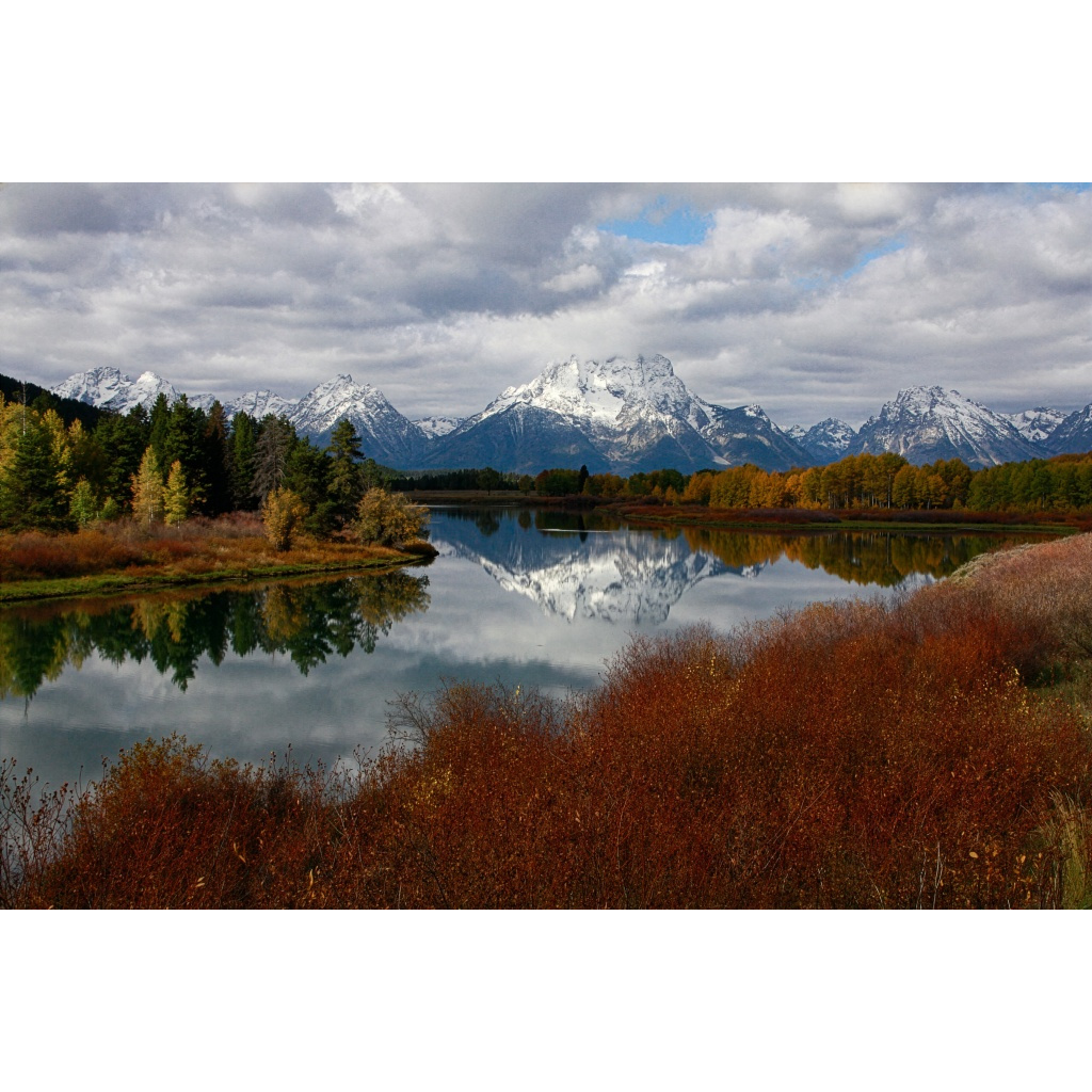 Golden autumn trees reflected across still water near the Grand Tetons in Wyoming.