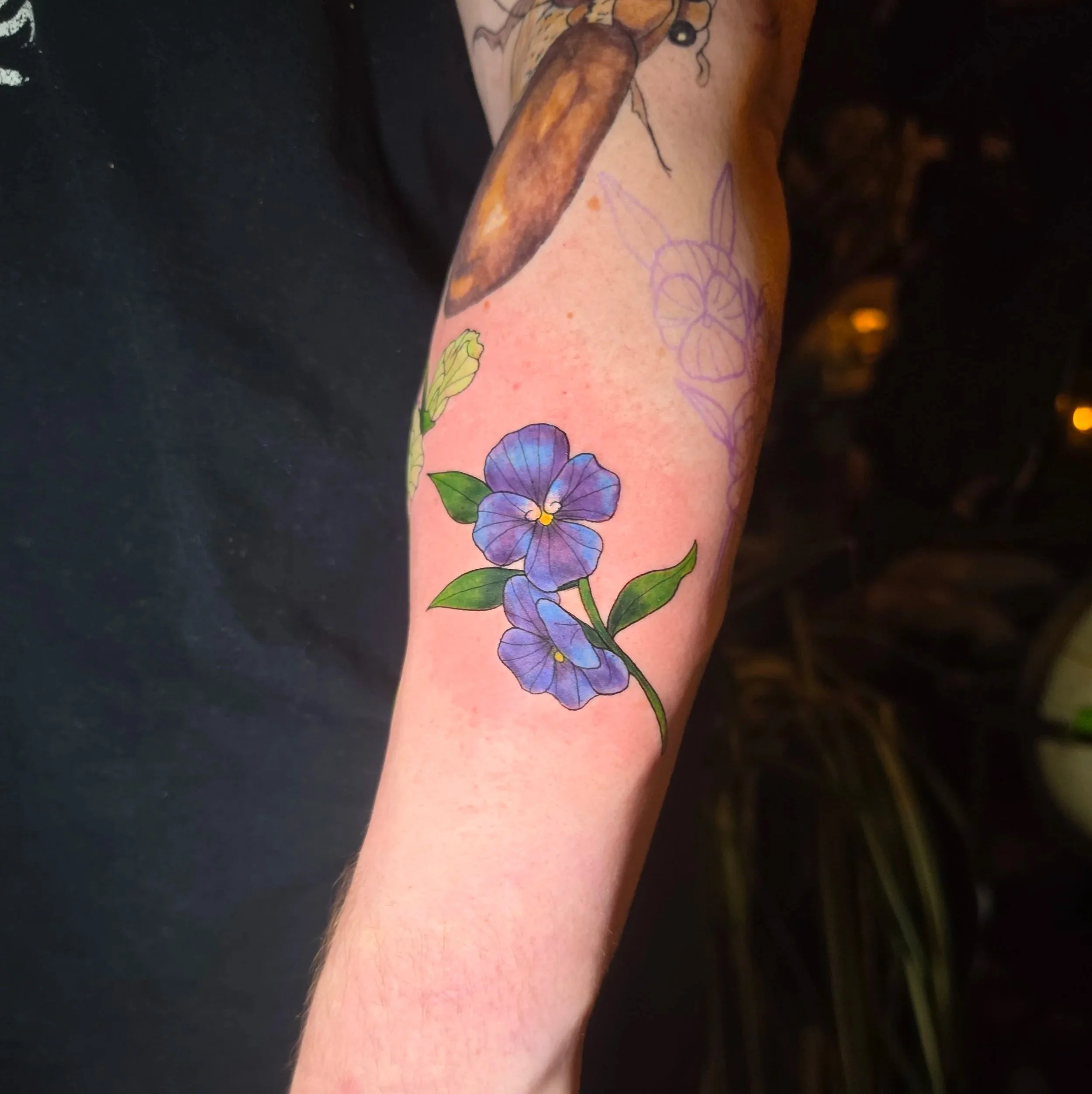 Crybaby Angell, a Colorado tattoo artist tattooed colorful violets on a forearm.