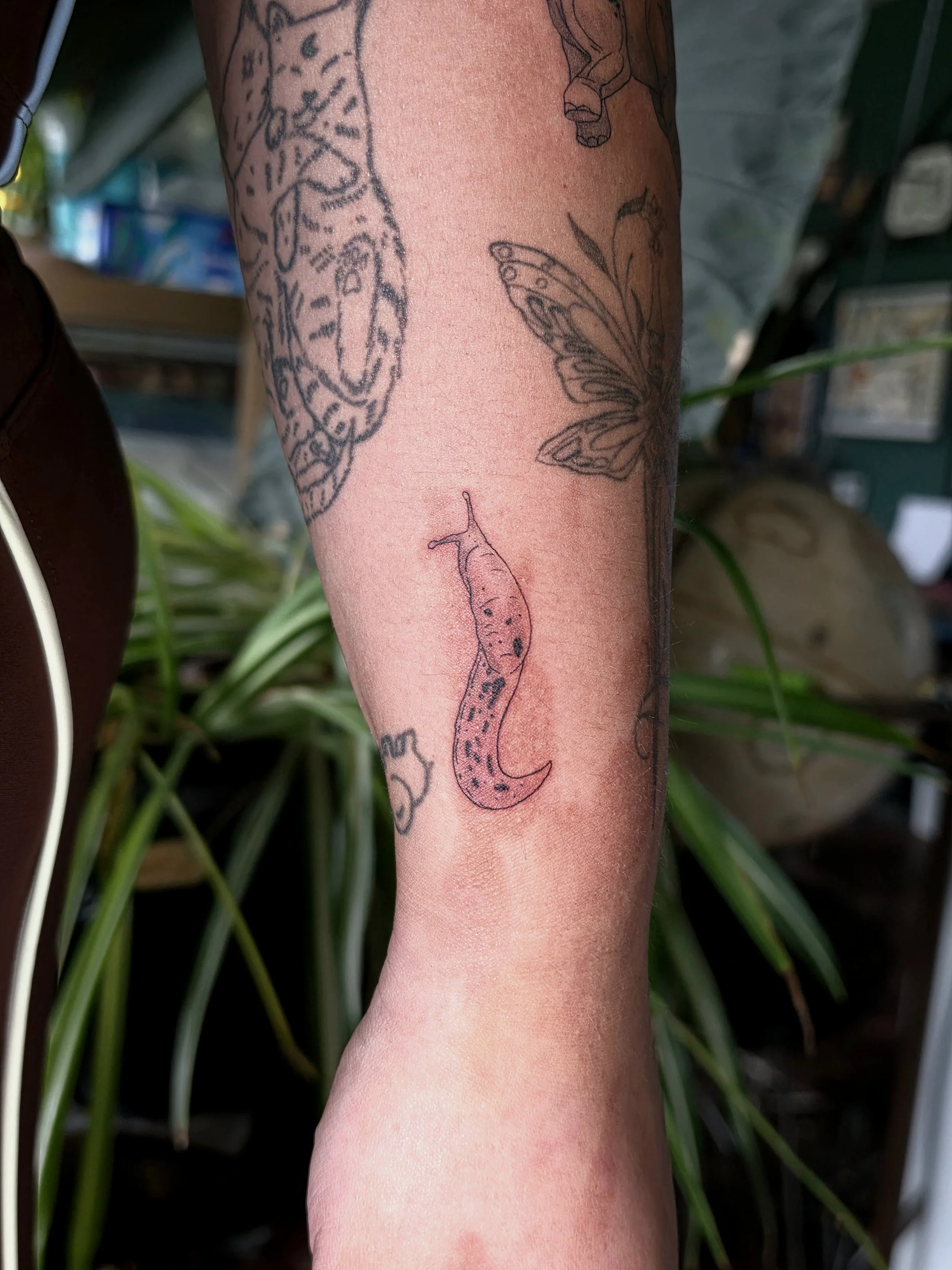 Crybaby Angell, a Colorado tattoo artist a banana slug over a client's scar on their forearm.