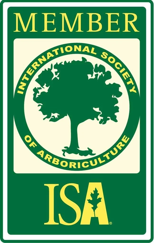 Green and white badge with a large tree silhouette in the center, surrounded by the text "International Society of Arboriculture" in yellow, and the word "Member" at the top. The logo also includes the abbreviation "ISA" with an oak leaf inside the letter "A" at the bottom.