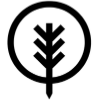 Untitled design-13.png