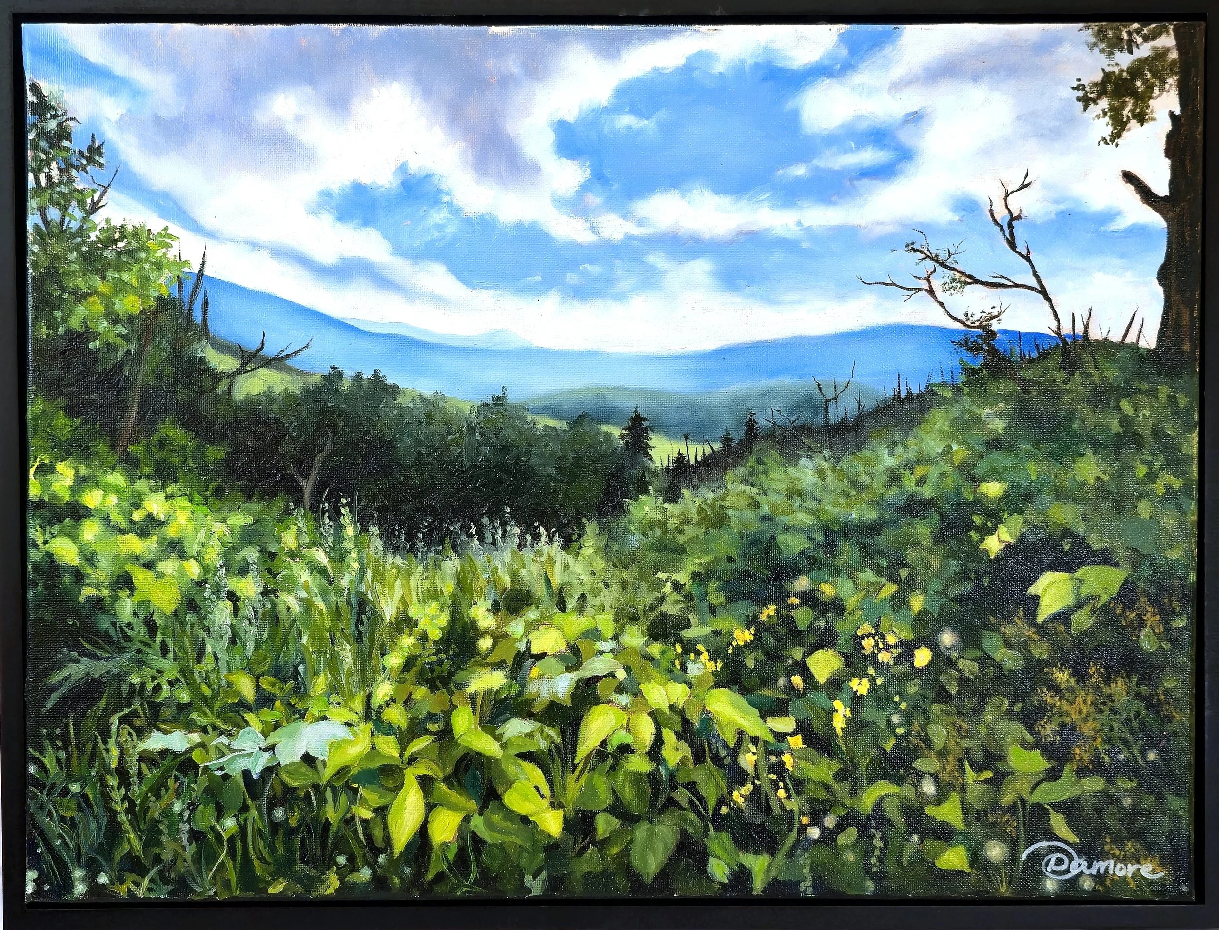 Ridge Above the Valley (Original)