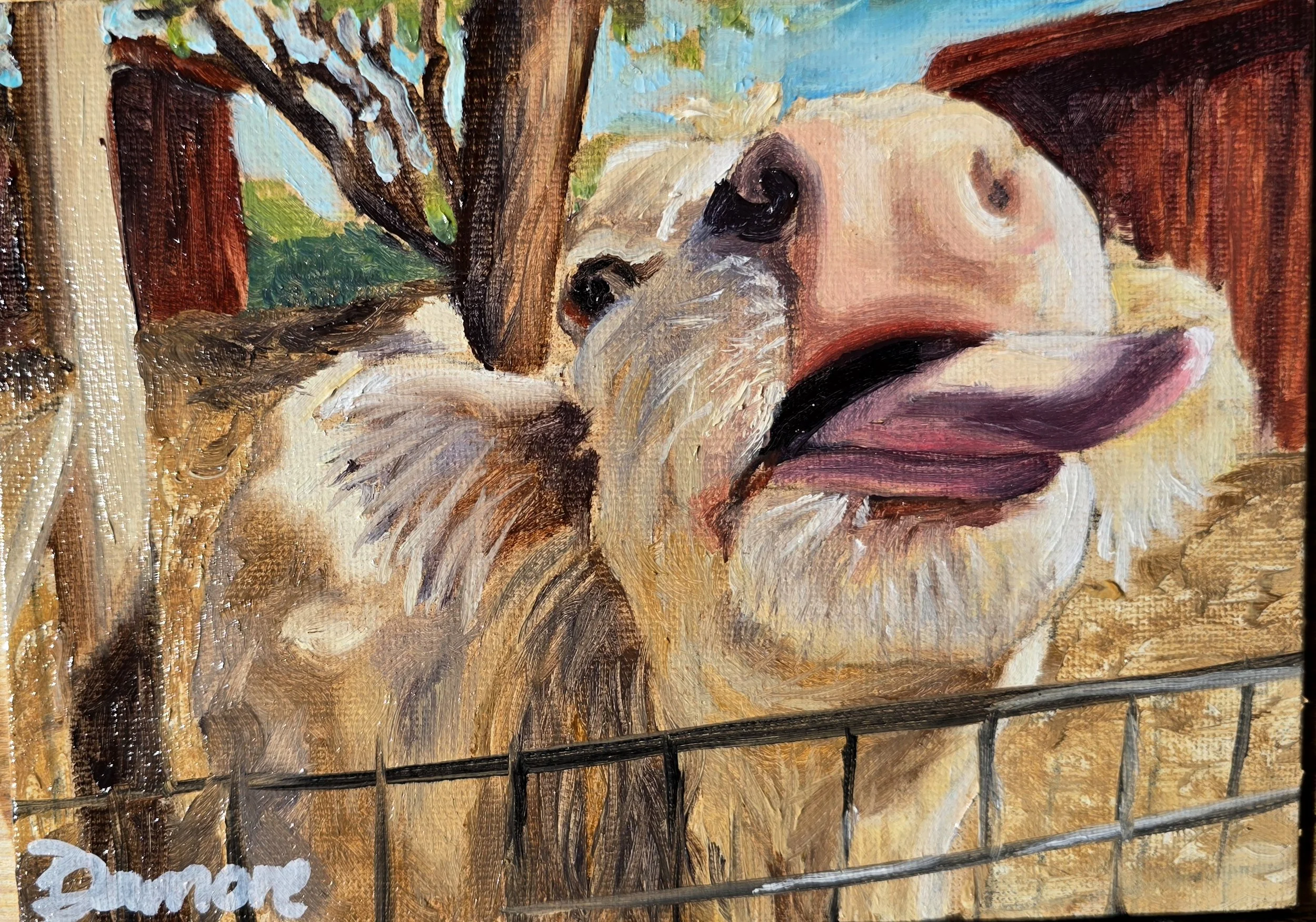 Dolly (Original)