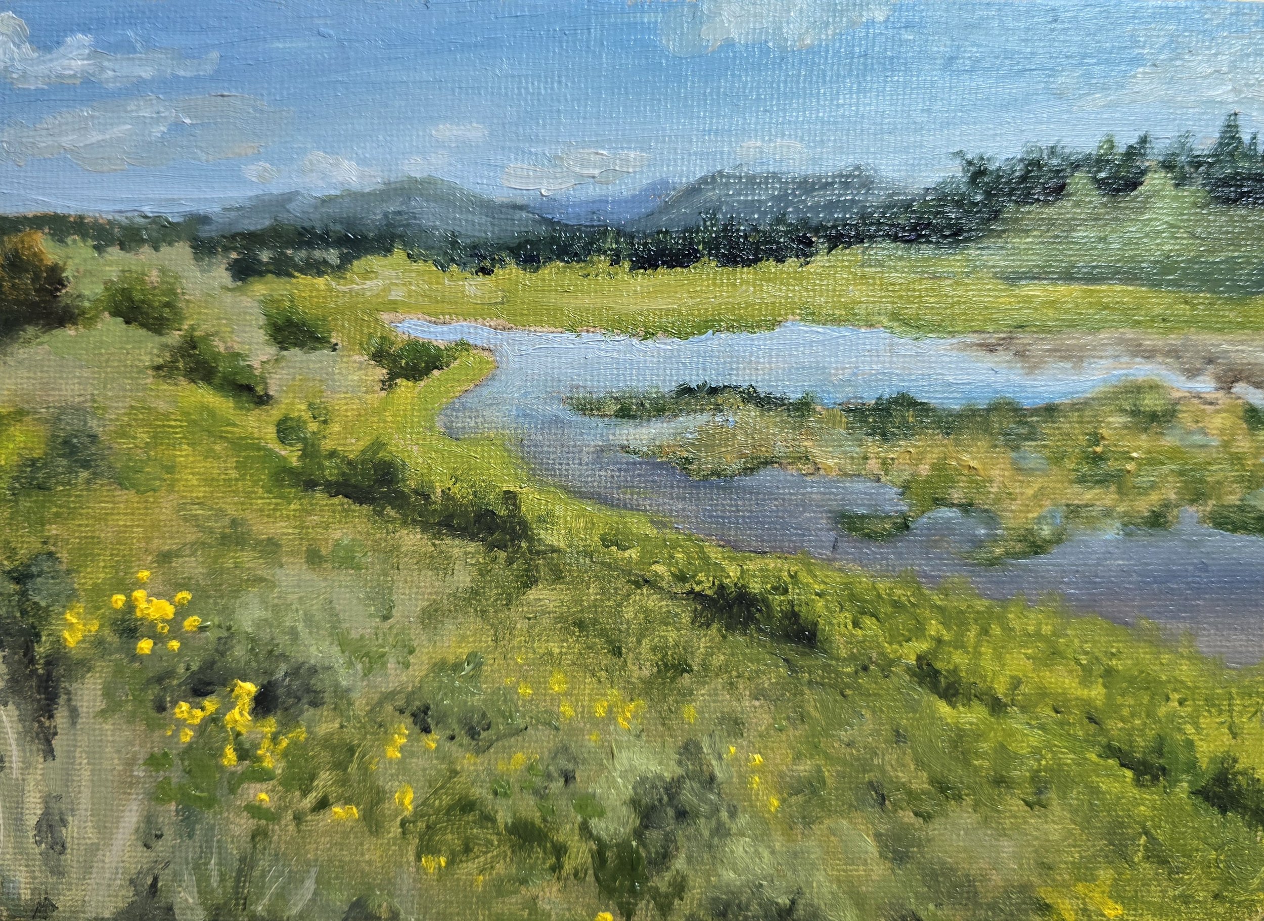 River landscape.jpg