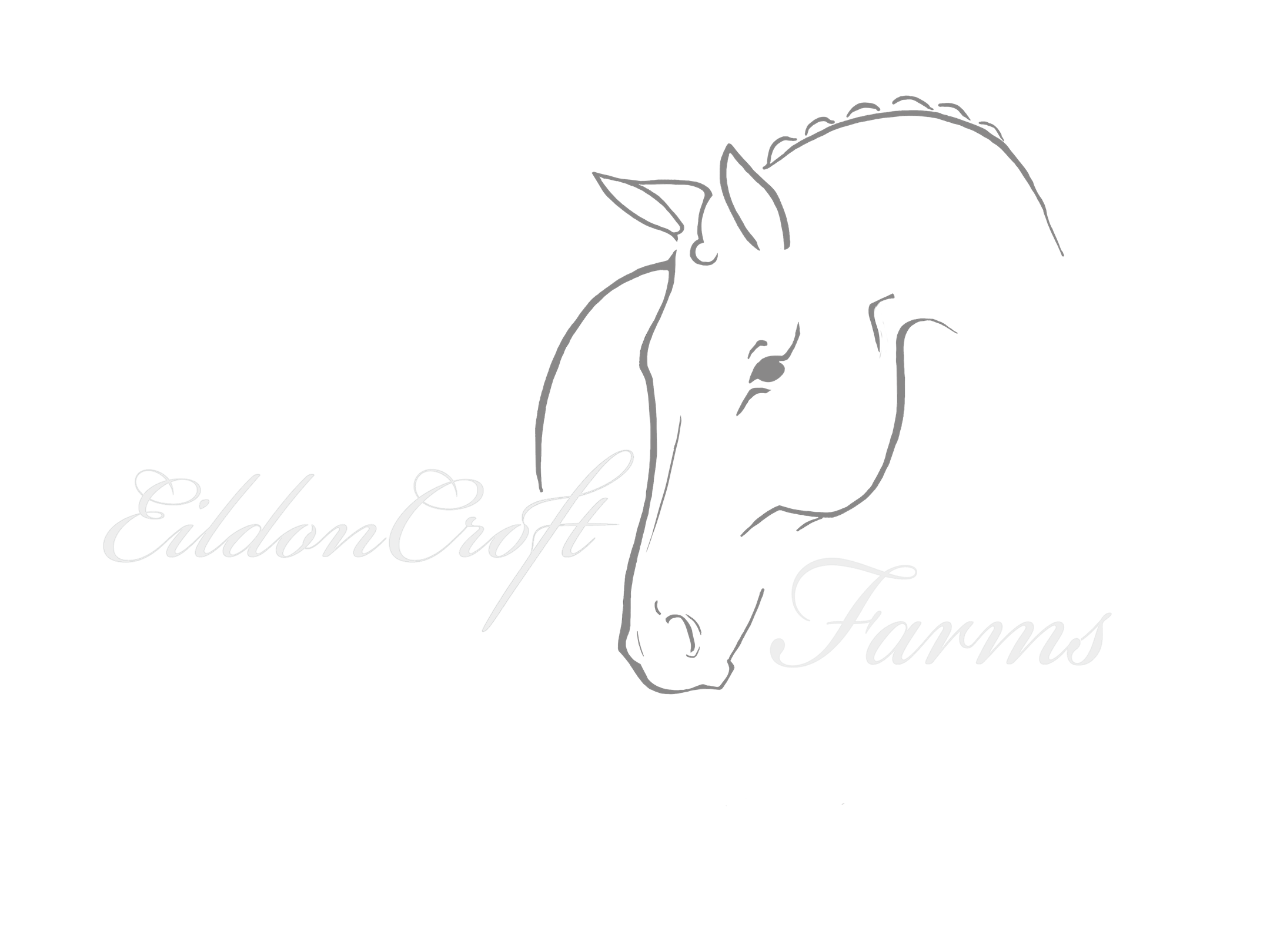 A black background with a line drawing of a horses head and the words 'EildonCroft Farms' written in cursive.