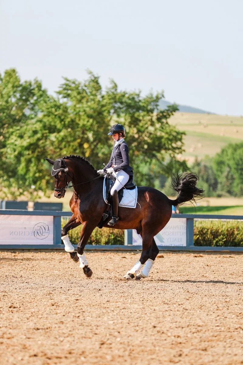 A female equestrian rider in riding attire riding a dark brown horse on a sandy outdoor arena with greenery and hills in the background.