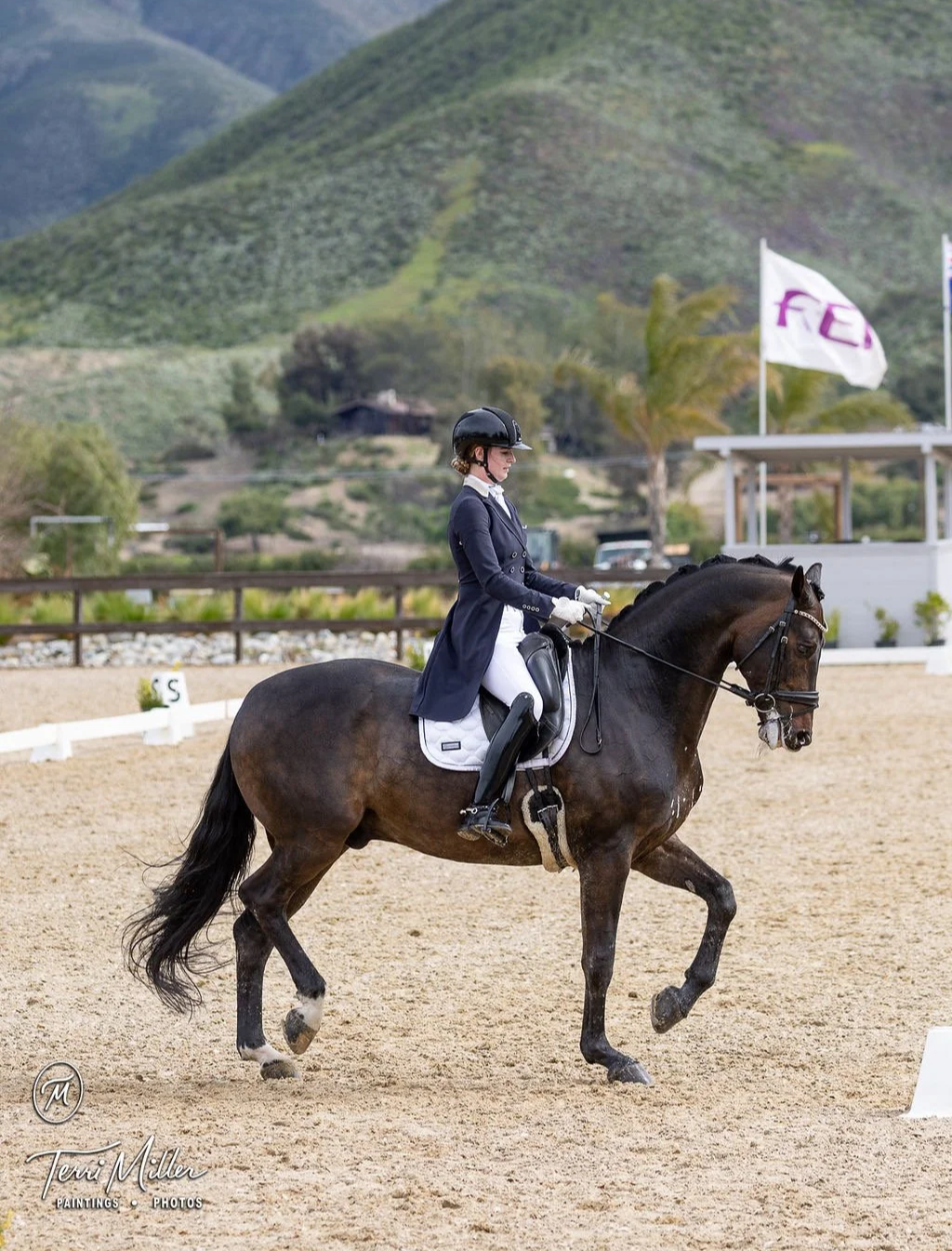 A woman dressed in equestrian riding apparel riding a dark brown horse in a riding arena with green hills and trees in the background.