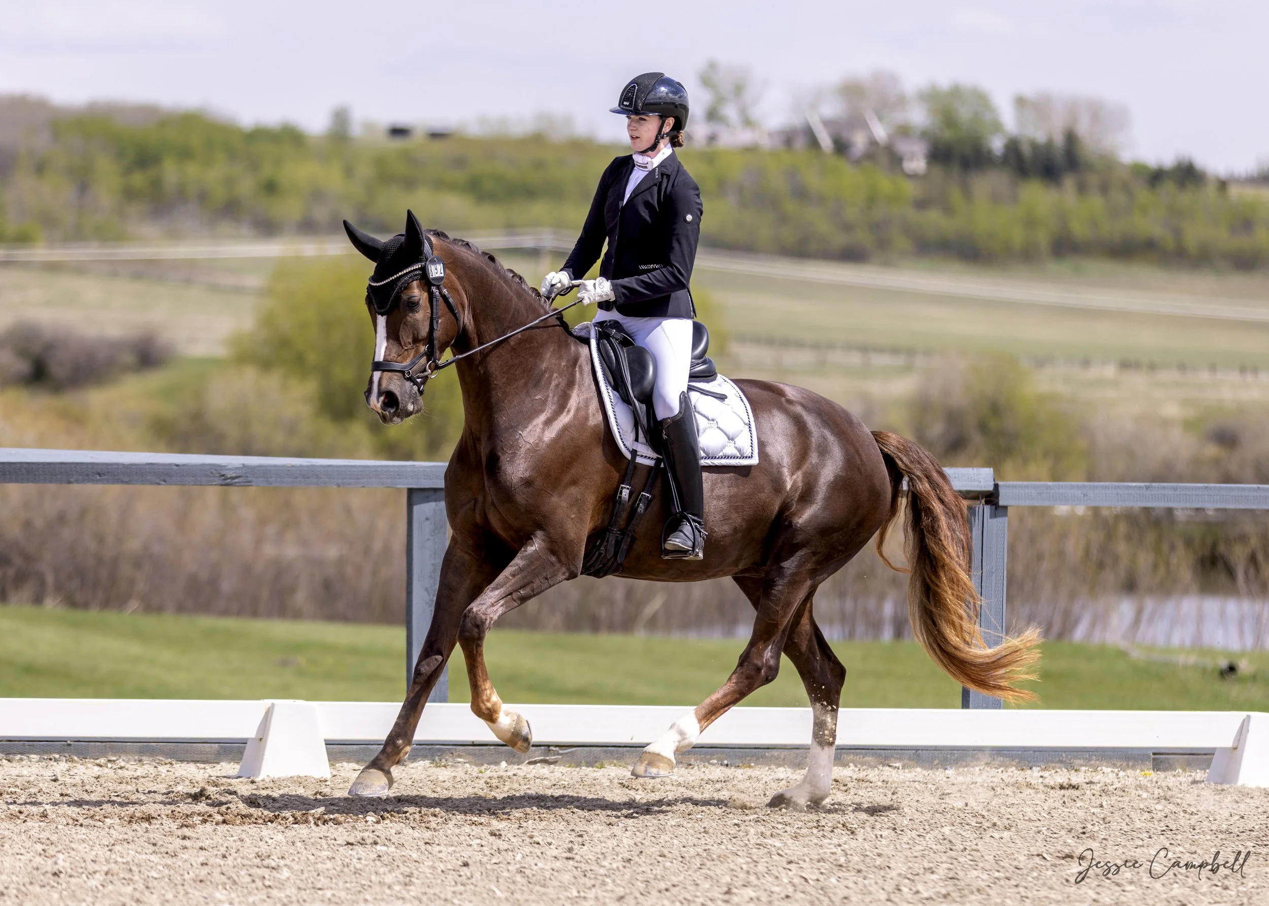 A person riding a brown horse in an outdoor riding arena, wearing a black riding helmet, black riding jacket, white riding pants, and gloves, with a scenic background of trees and a cloudy sky.