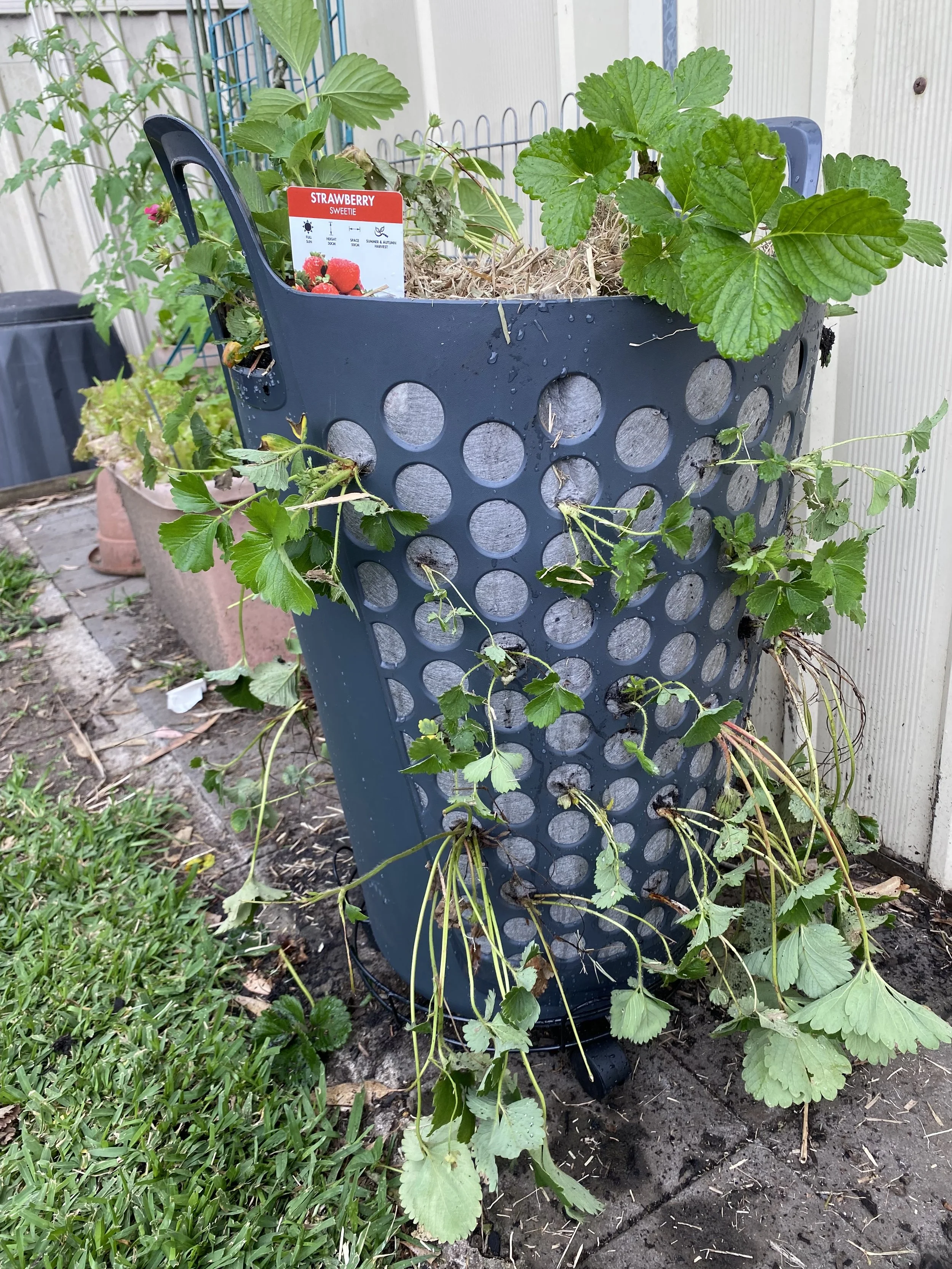 Strawberry Tower