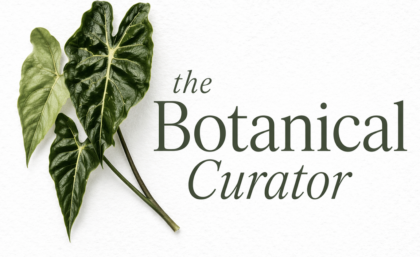 The Botanical Curator
