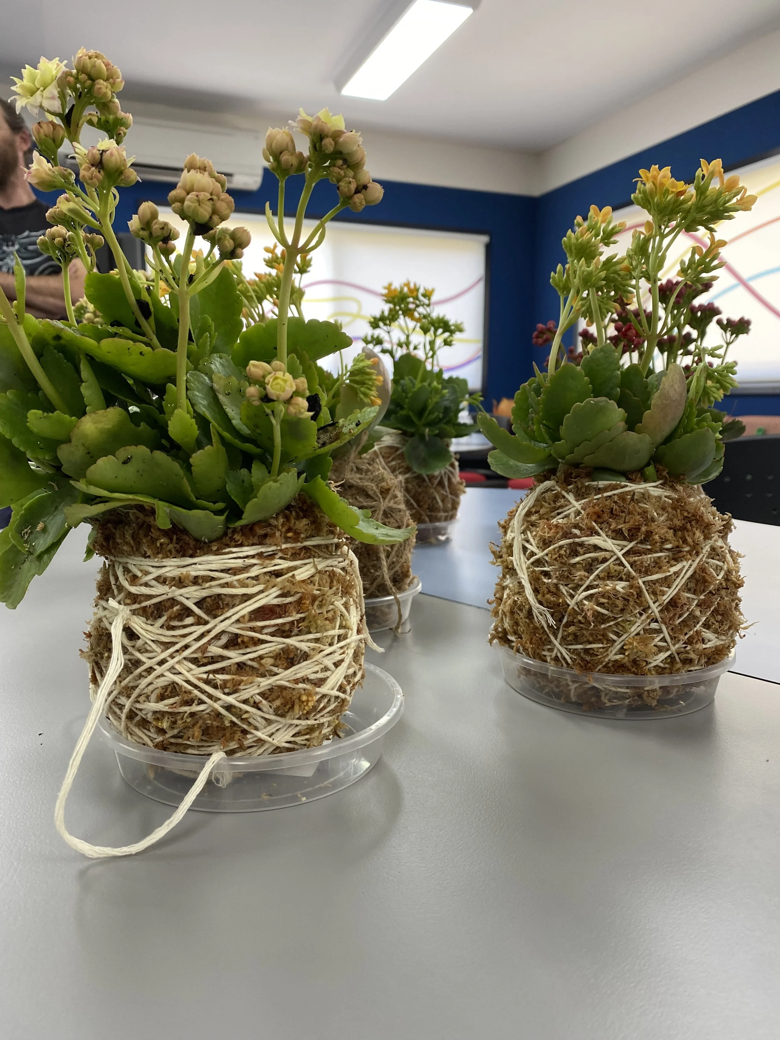 Kokedama workshop