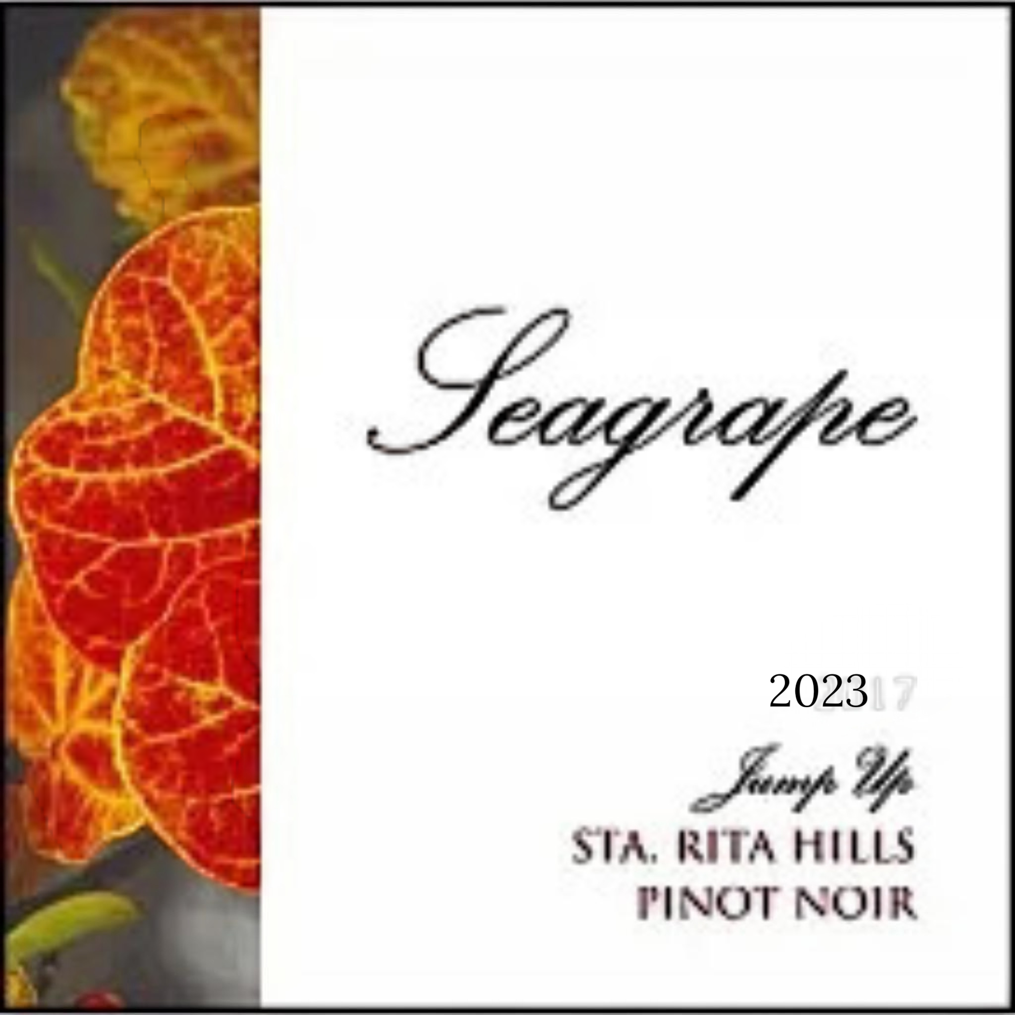 Seagrape Pinot Noir 2023