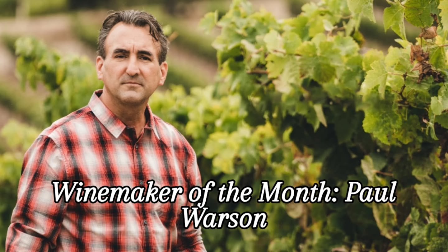 Meet our featured winemaker for August: Paul Warson, Warson Wines. 
With decades of experience crafting exceptional wines across Napa Valley and beyond,  Paul brings a deep respect for terroir,  a meticulous approach to every harvest,  and a passion 
