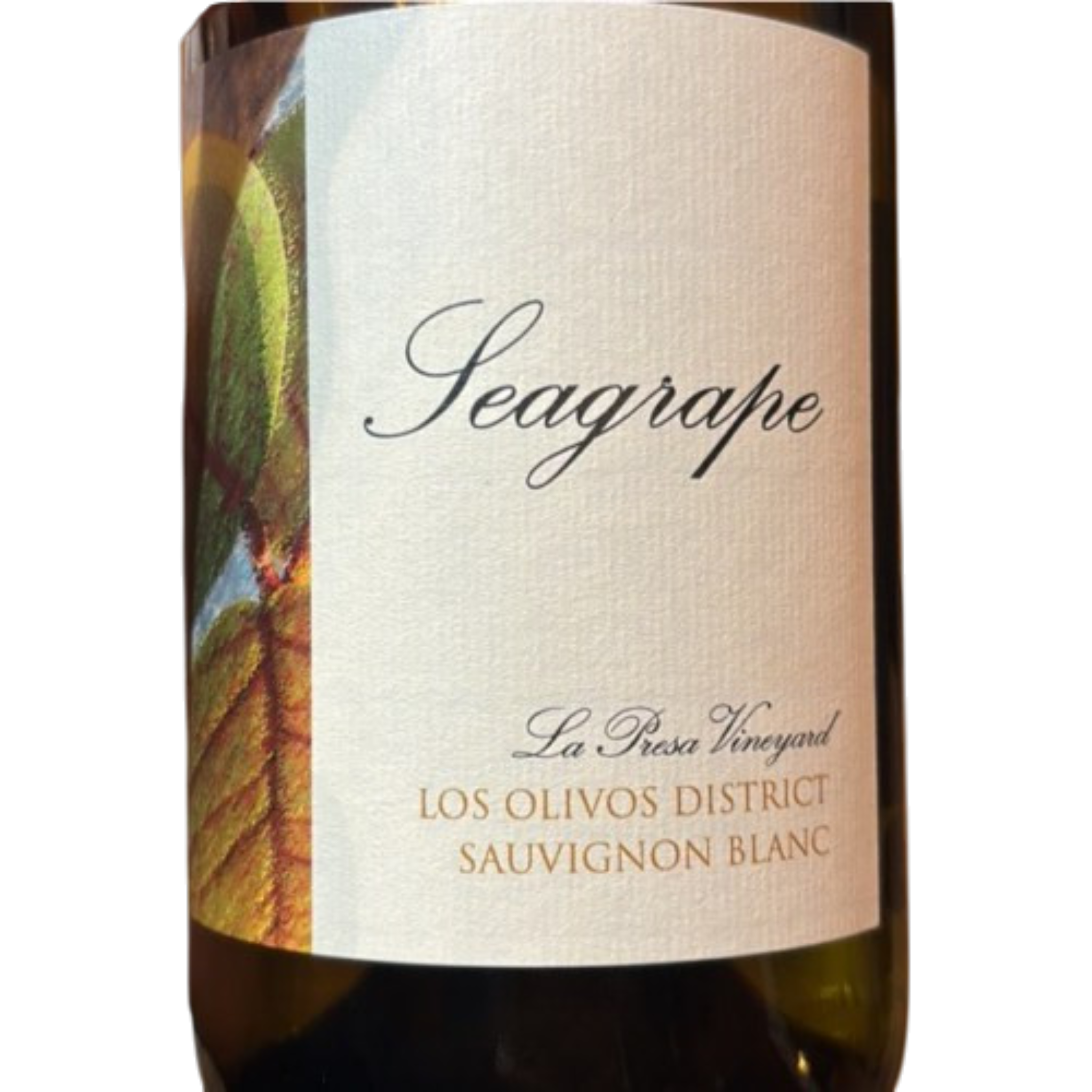 Seagrape Sauvignon Blanc 2025