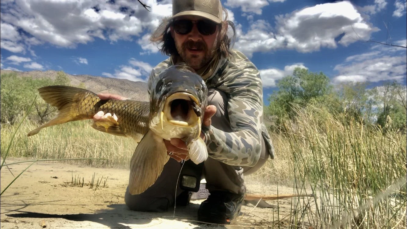 A man in camouflage clothing holding a large fish with an open mouth, kneeling on sandy ground with grass and trees in the background under a partly cloudy sky.