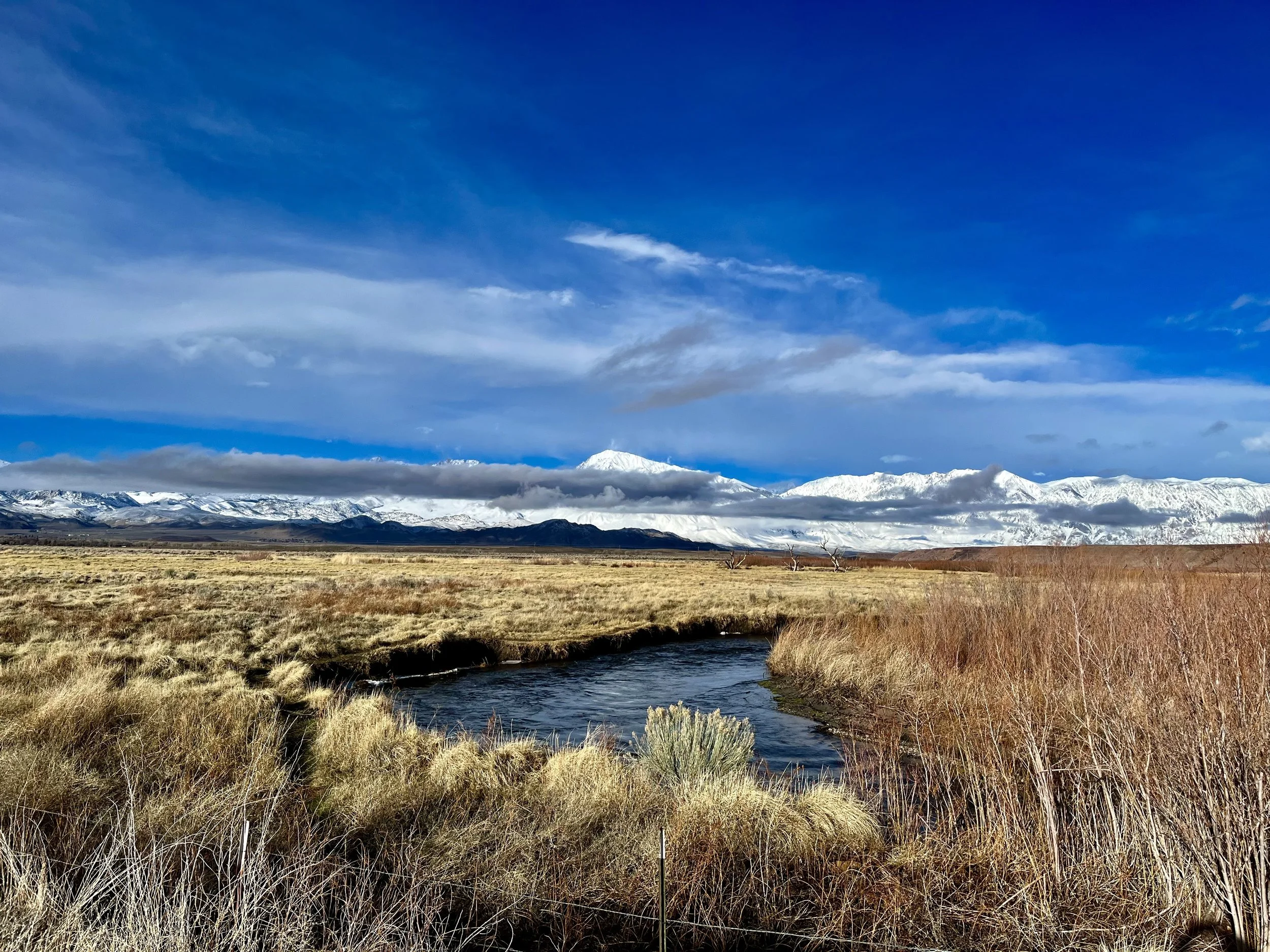A landscape with a narrow river flowing through a grassy plain, with snow-capped mountains and a blue sky with clouds in the background.