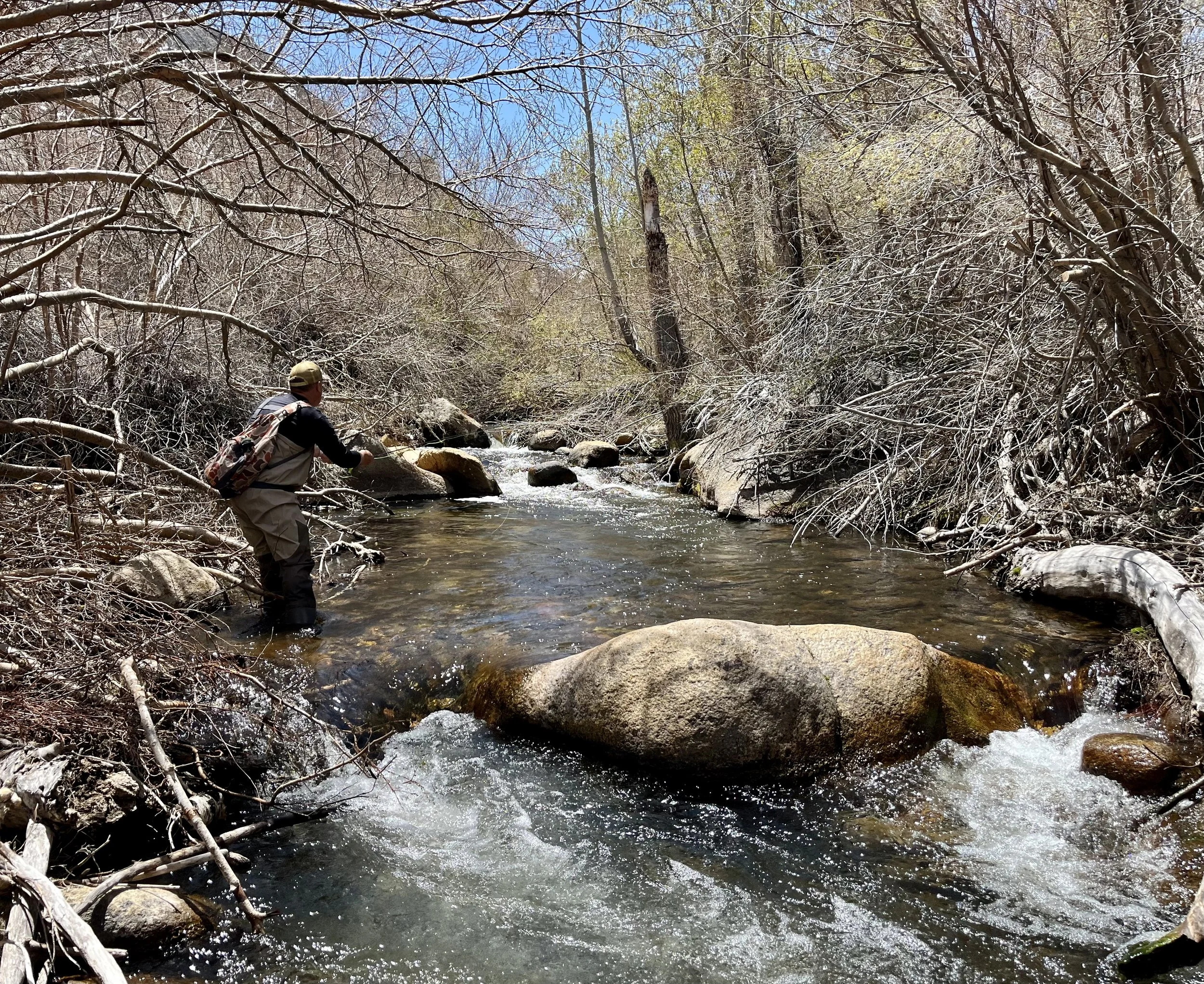 Person fishing in a river surrounded by barren trees and rocks on a clear day.