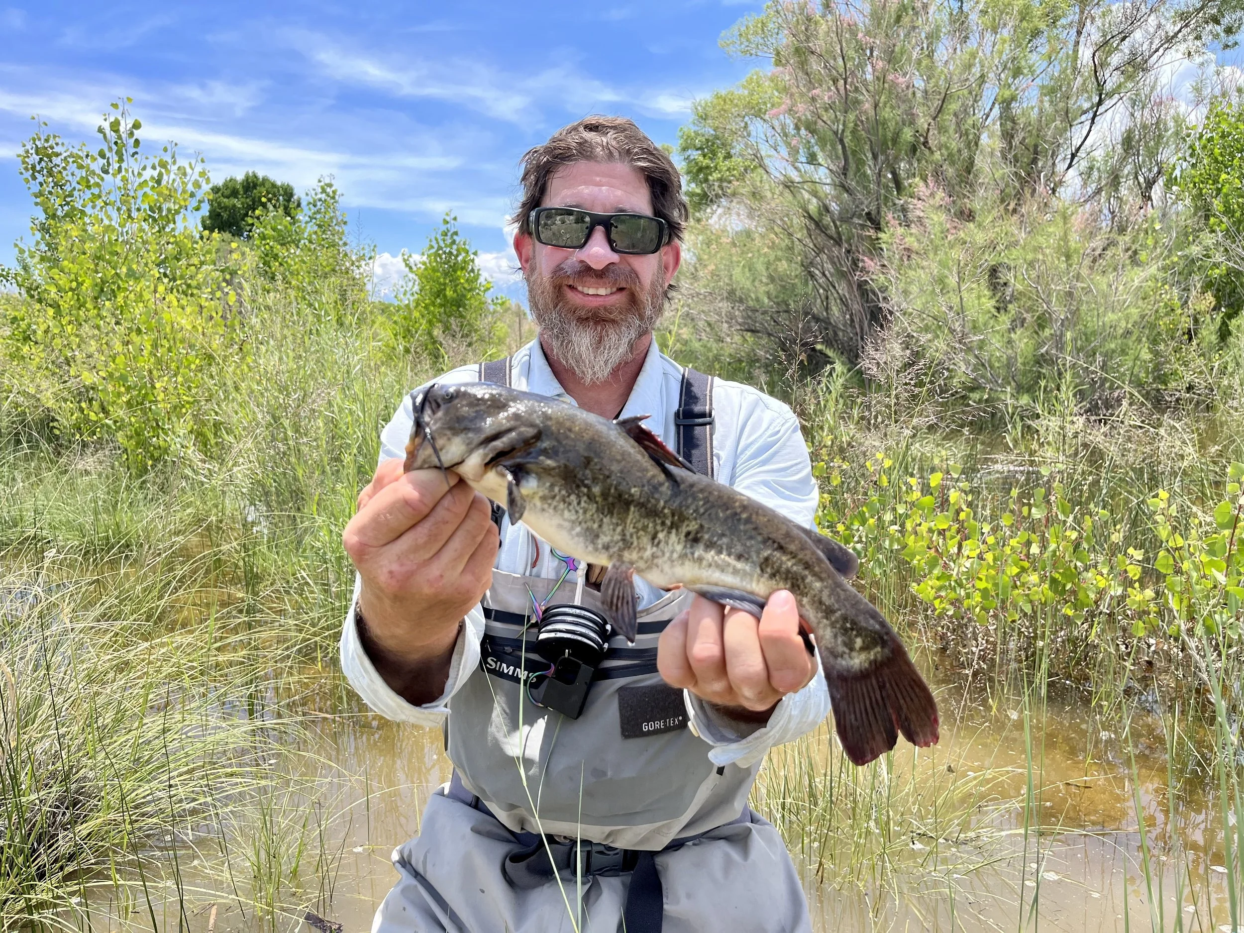 Man with sunglasses and beard holding a fish outdoors in a marshy wetland with green trees and blue sky