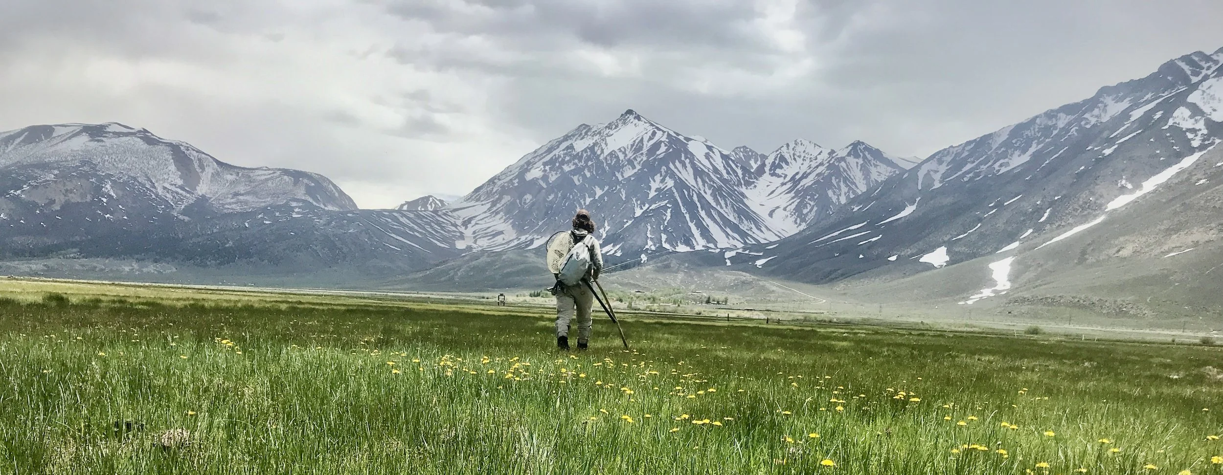Person hiking in a lush green field with yellow flowers, mountains with snow patches in the background under a cloudy sky.