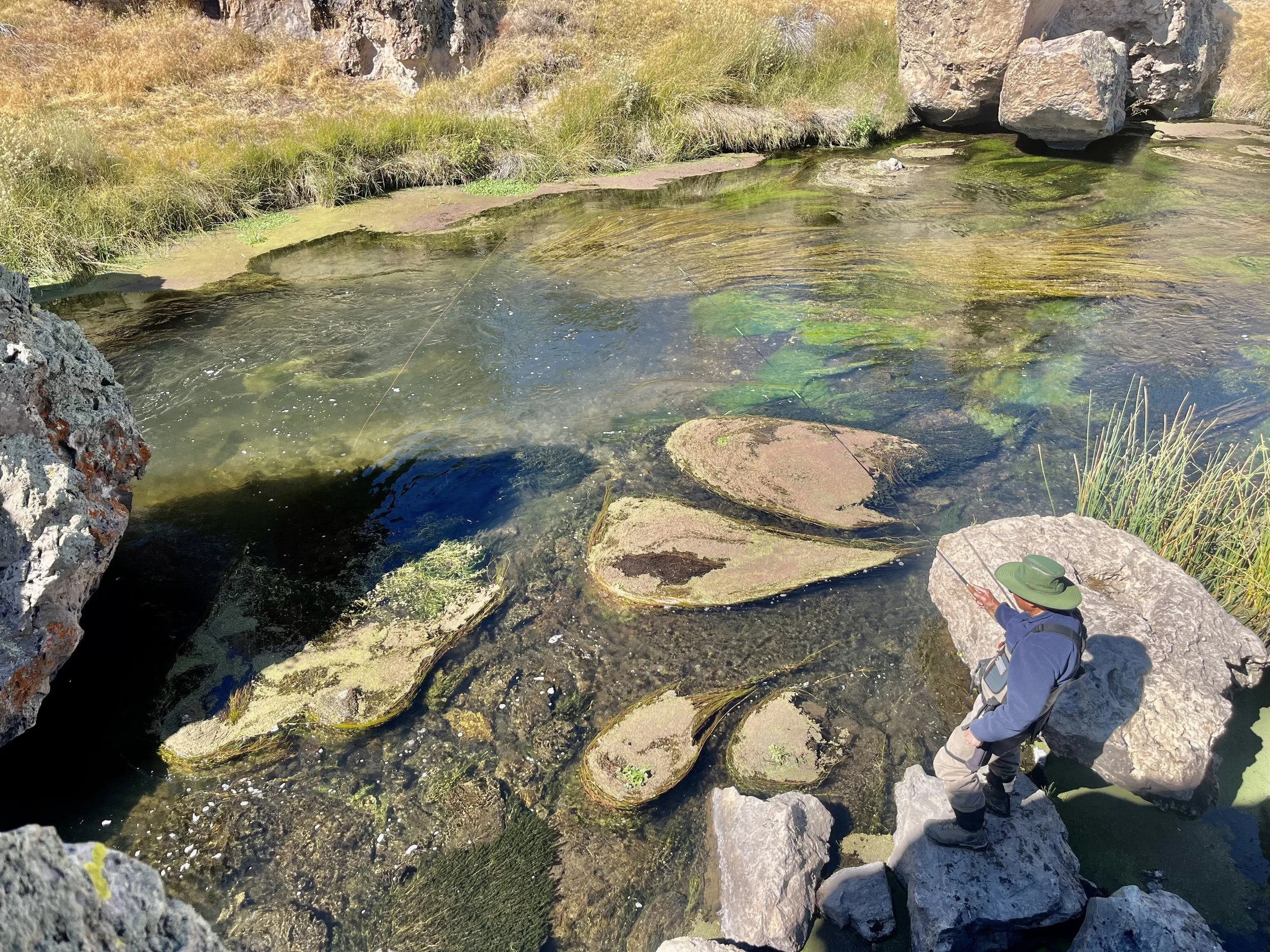 A person fishing while standing on rocks by a shallow river with clear water and large stones, surrounded by grassy terrain and rocks.