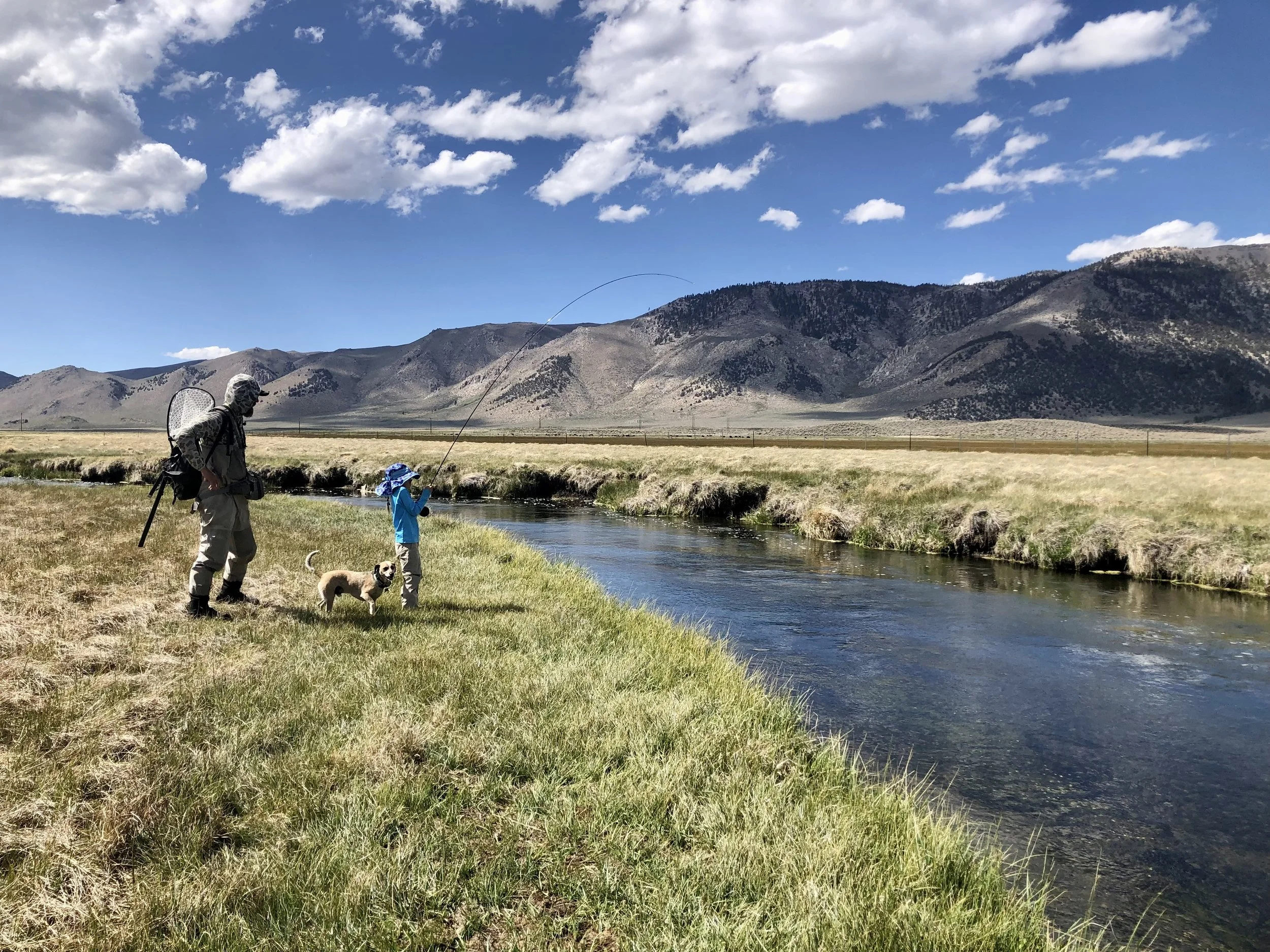A person with a backpack and hat standing on grassy bank of a river, fishing with a child and a dog, mountains in the background under a partly cloudy sky.