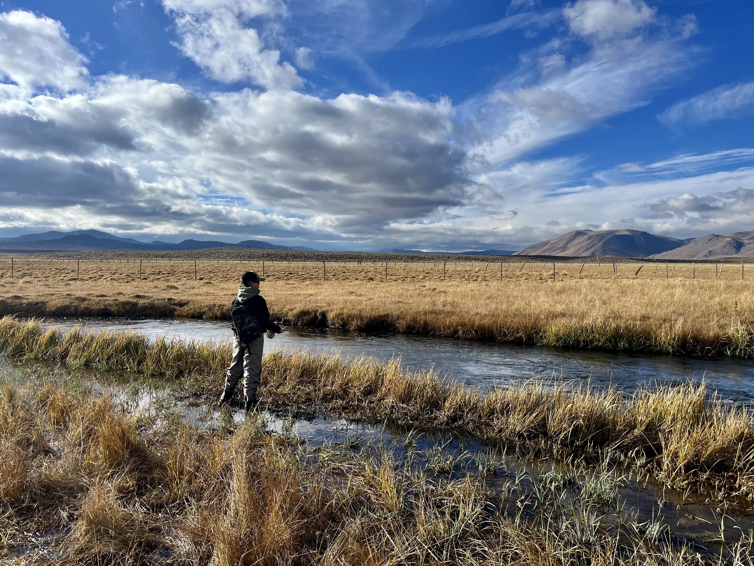 A person standing in a shallow stream in a grassy field under a partly cloudy sky with mountains in the background.