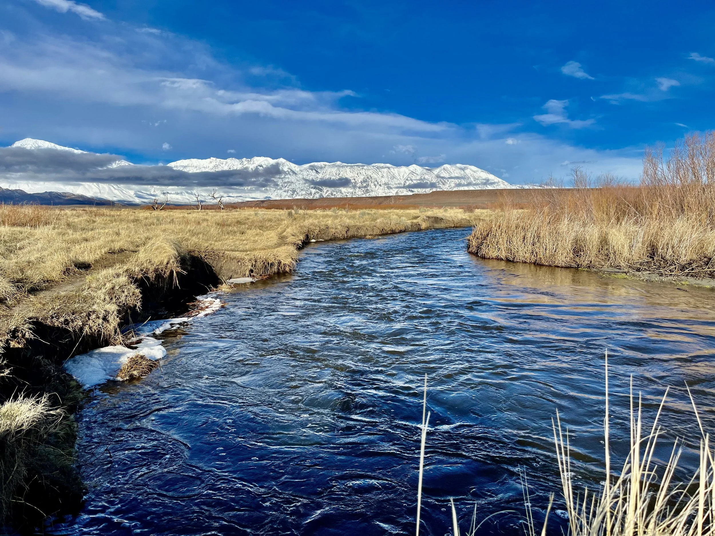 A flowing river in a flat landscape with golden grass on the banks, snow-capped mountains in the distance, and a partly cloudy blue sky.