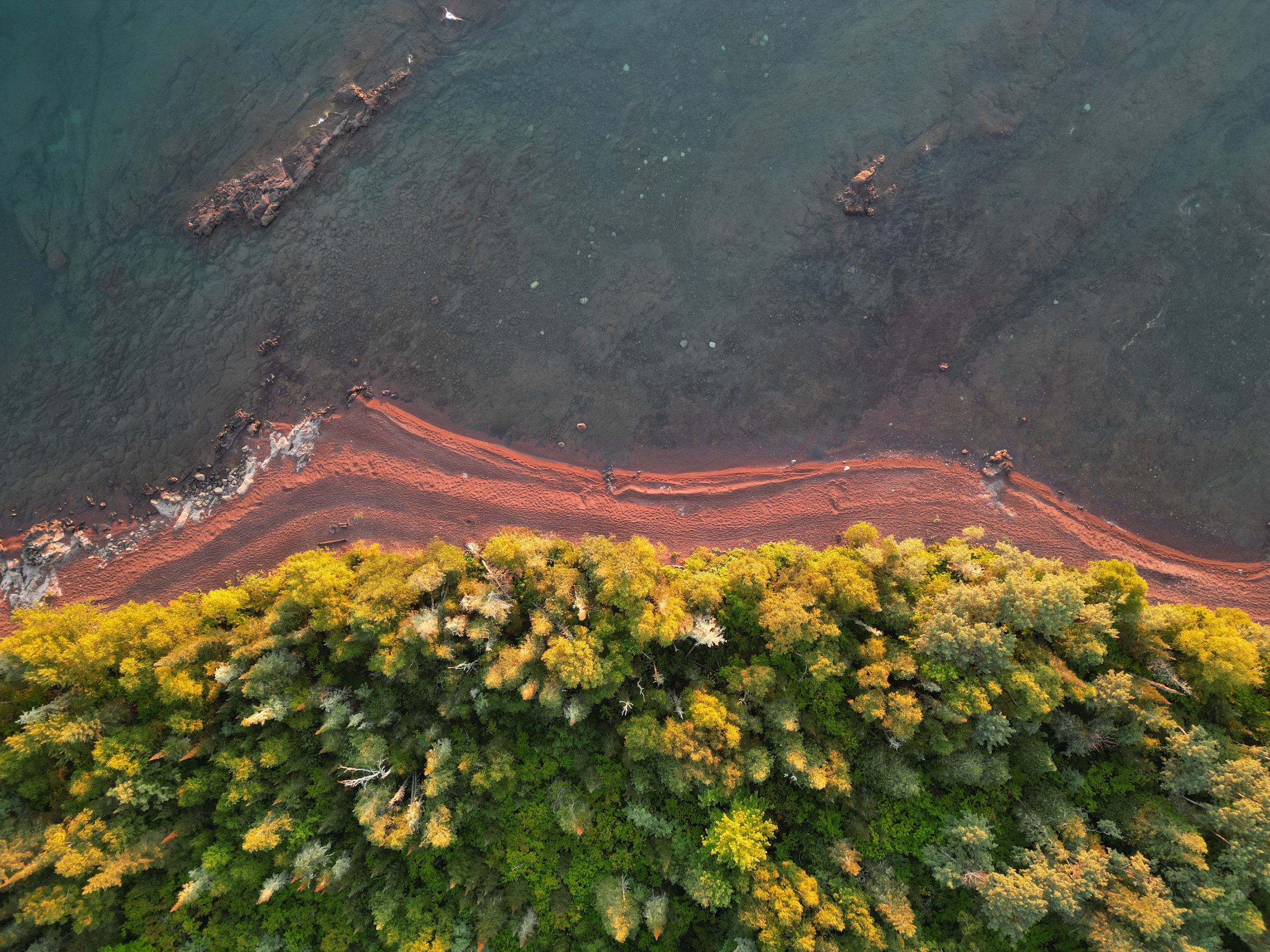 Aerial view that includes a dense forest, rocky shoreline, and clear blue water all captured in golden hour lighting. 
