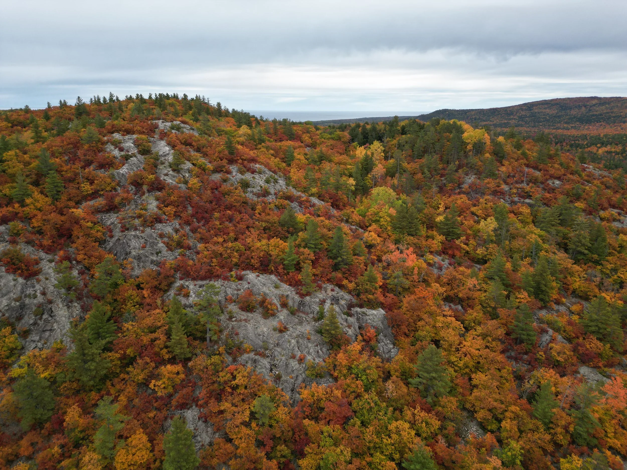 DJI_0268.JPG
