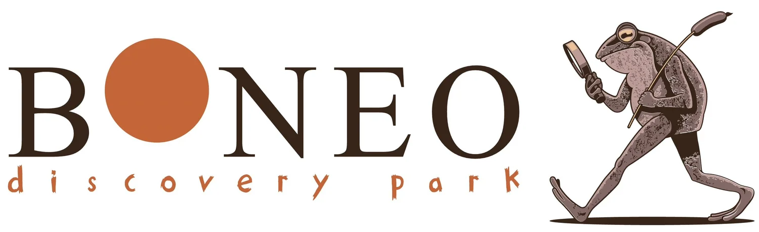 BONEO DISCOVERY PARK