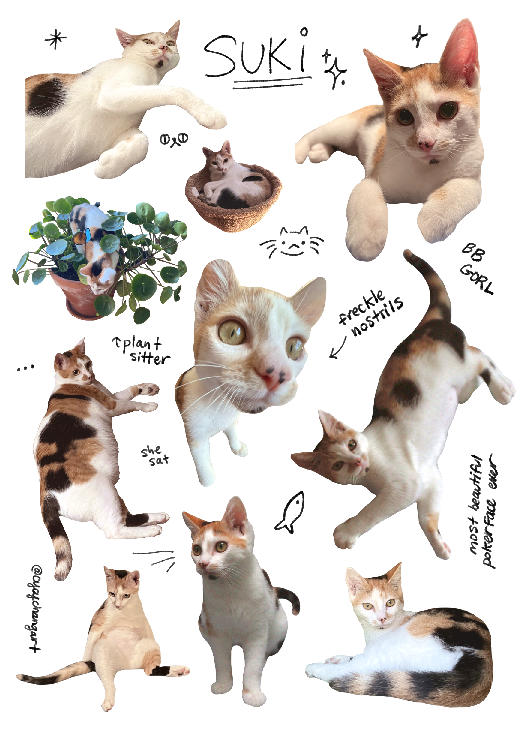 Sufi sticker sheet.png