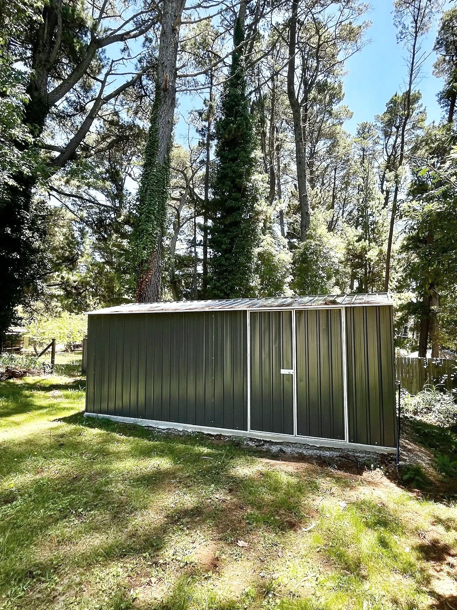 A small metal shed with a sloped roof in a grassy backyard, surrounded by tall trees with some ivy growing on them, under a clear blue sky.