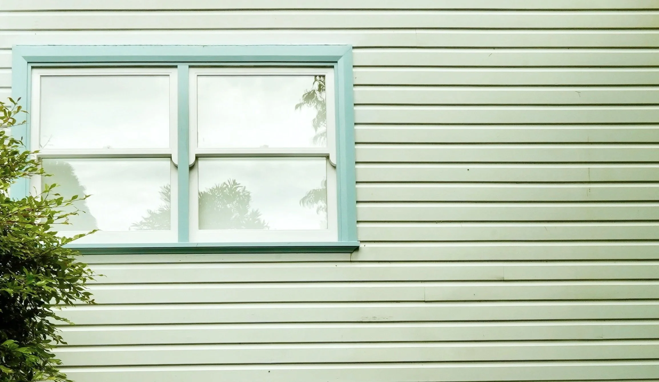 A house facade with horizontal vinyl siding in light beige and a white-framed window with pale blue trim. Part of a green bush is visible in the lower left corner.