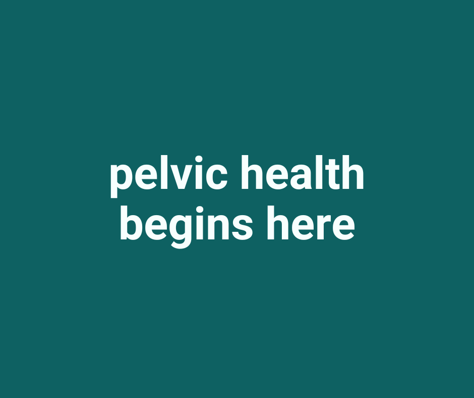 Pelvic Floor Health 101
