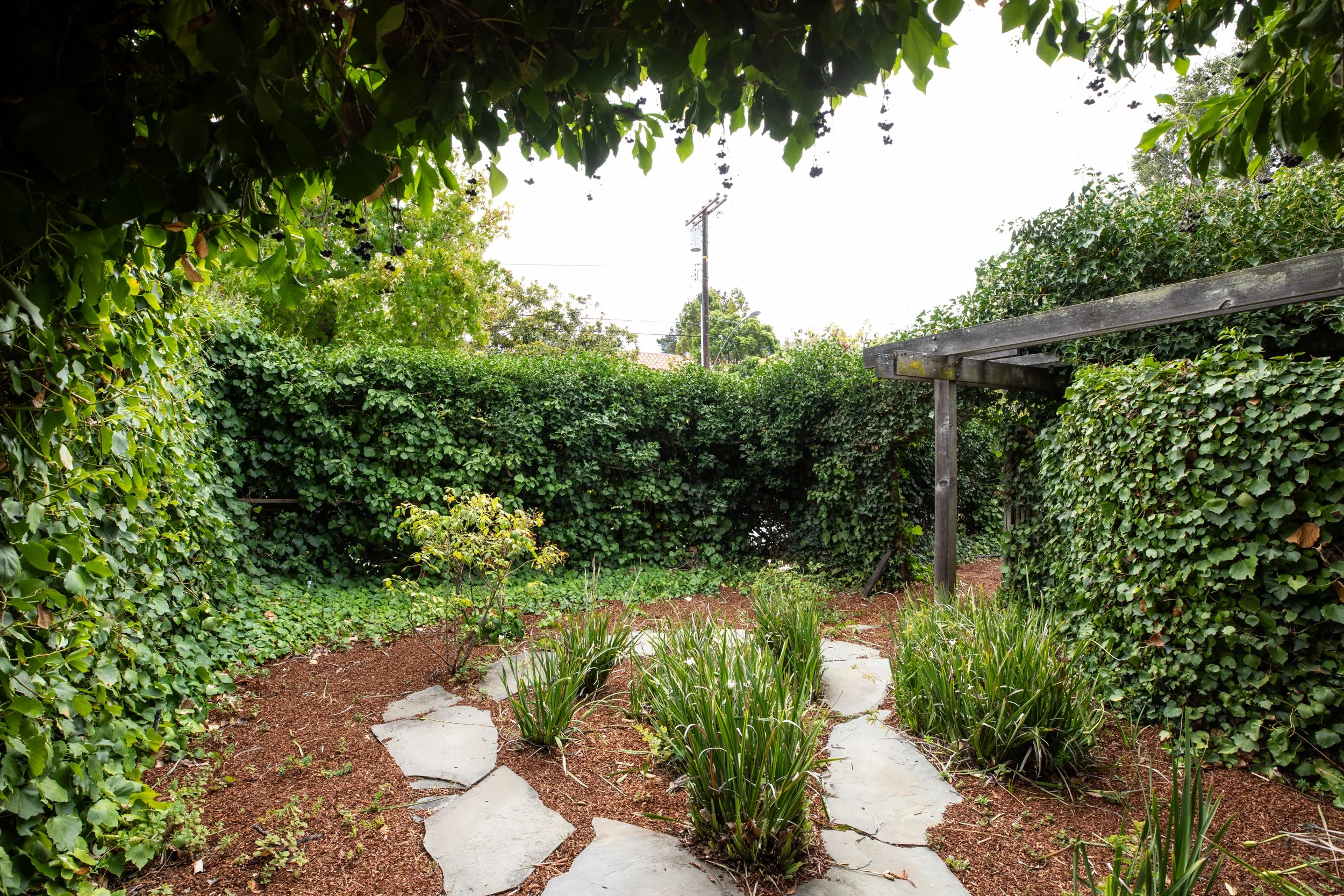 39-Tennyson_Matt_Anello-8646-MLS.jpg