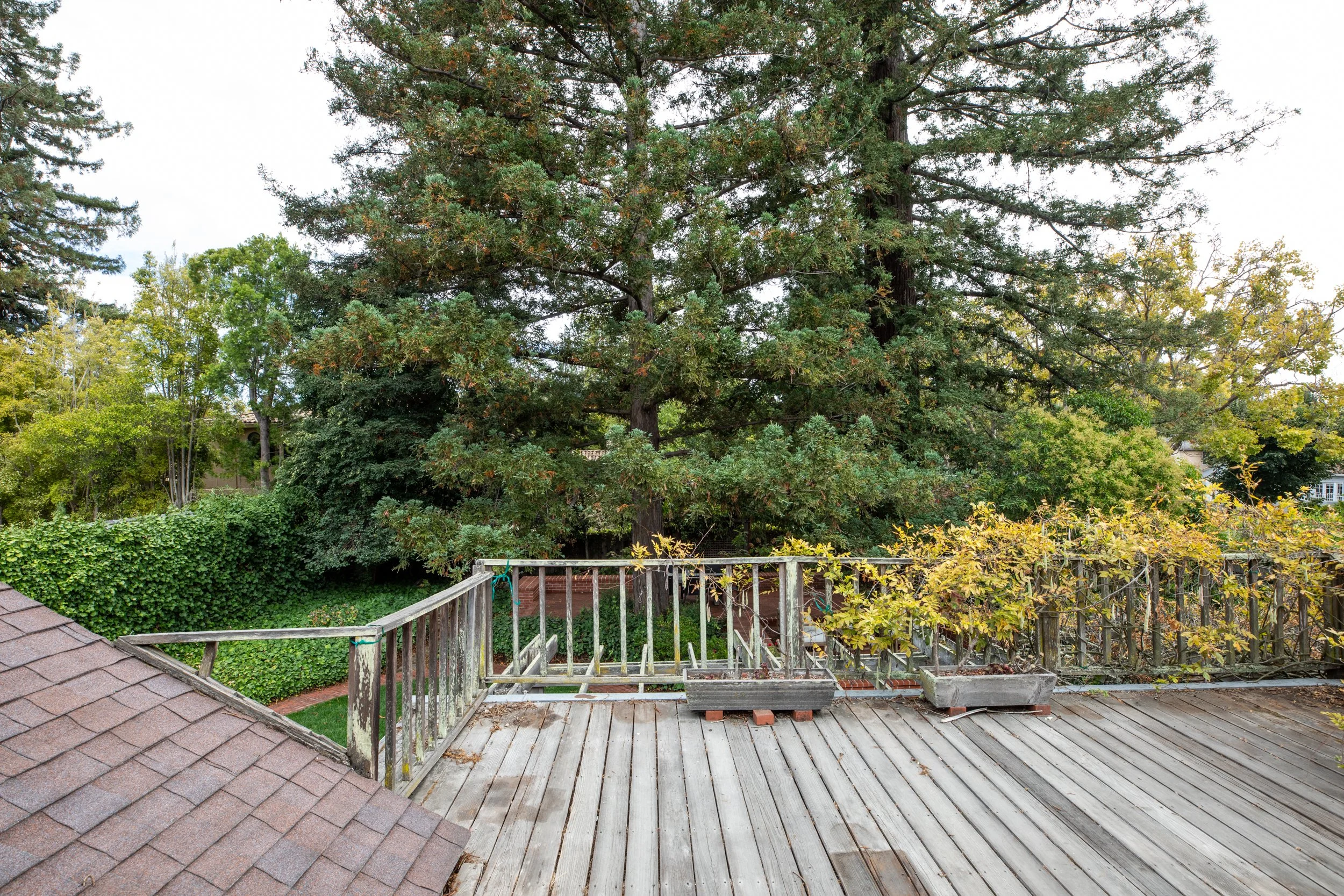 29-Tennyson_Matt_Anello-8636-MLS.jpg