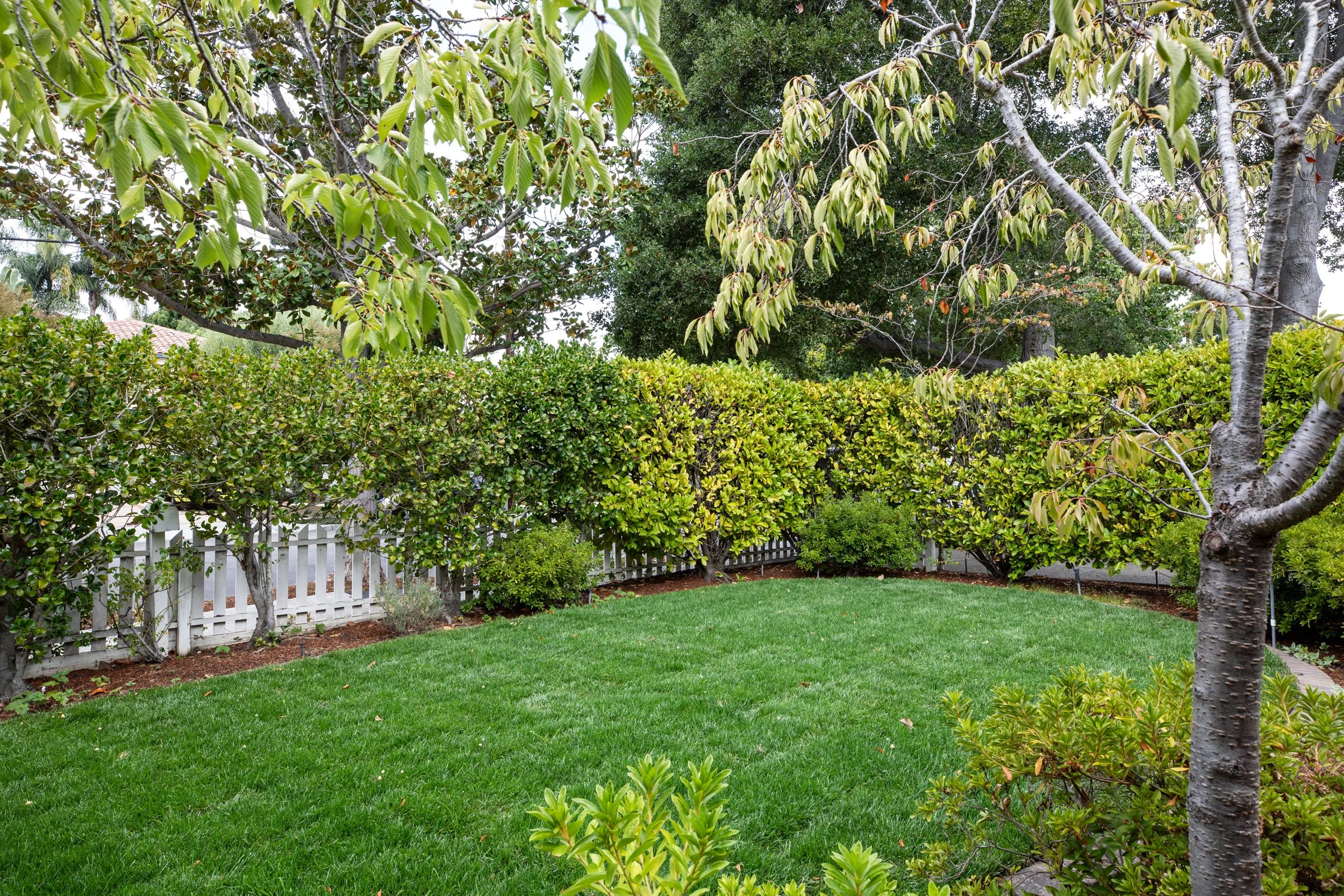 5-Tennyson_Matt_Anello-8538-MLS.jpg