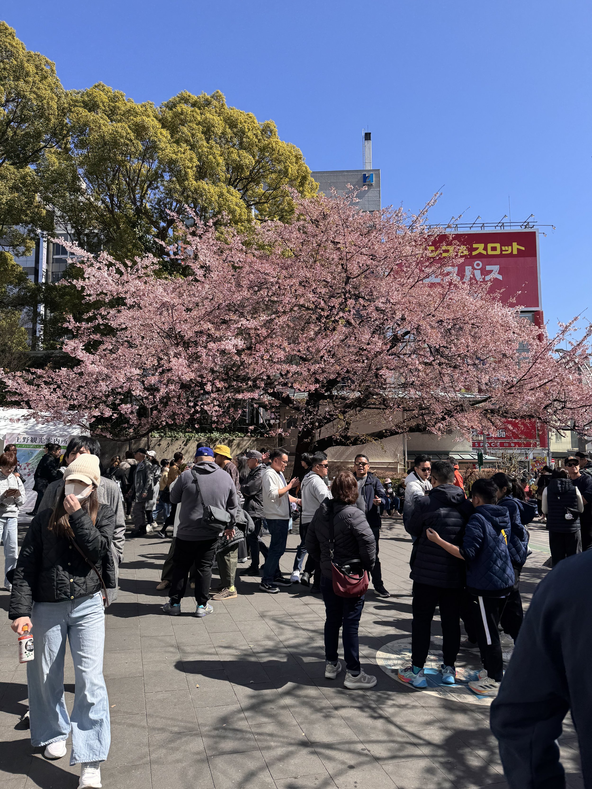 IMG_5512.jpeg
