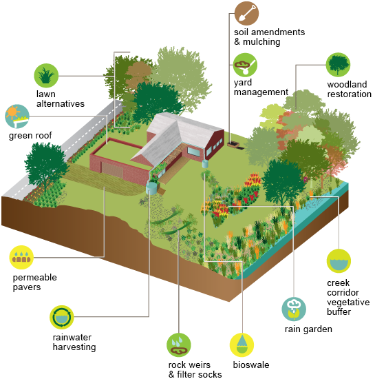 Diagram of sustainable yard features including lawn alternatives, green roof, permeable pavers, rainwater harvesting, soil amendments, yard management, woodland restoration, creek corridor vegetative buffer, rain garden, rock weirs and filter socks, and bioswale.