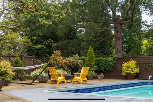 Backyard with a swimming pool, yellow Adirondack chairs, potted plants, a hammock, and tall trees and greenery in the background.