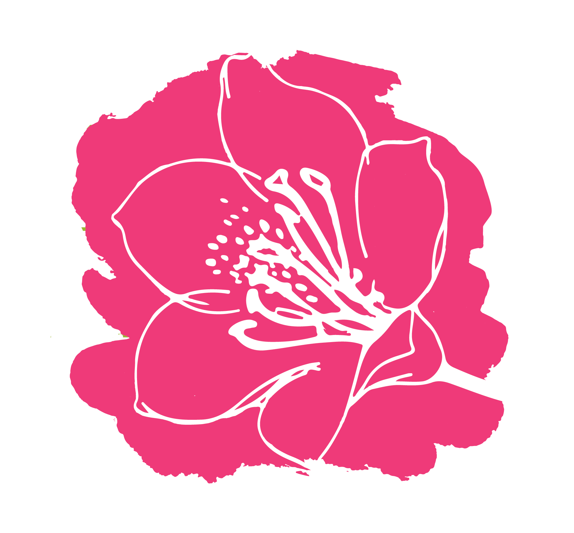 A stylized pink outline of a rhododendron flower with white line details on a white background.