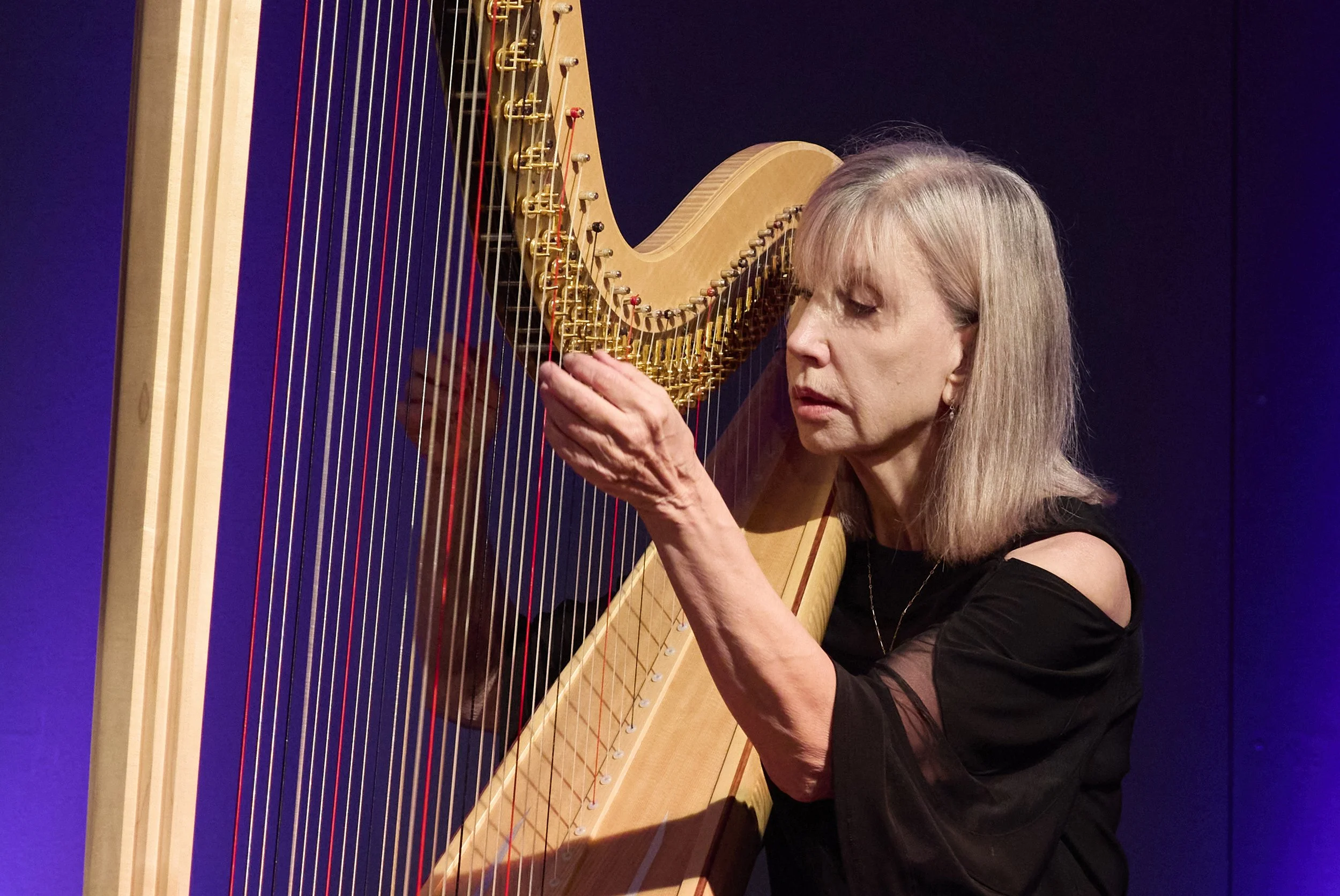 Louise Johnson playing a harp against a purple background.