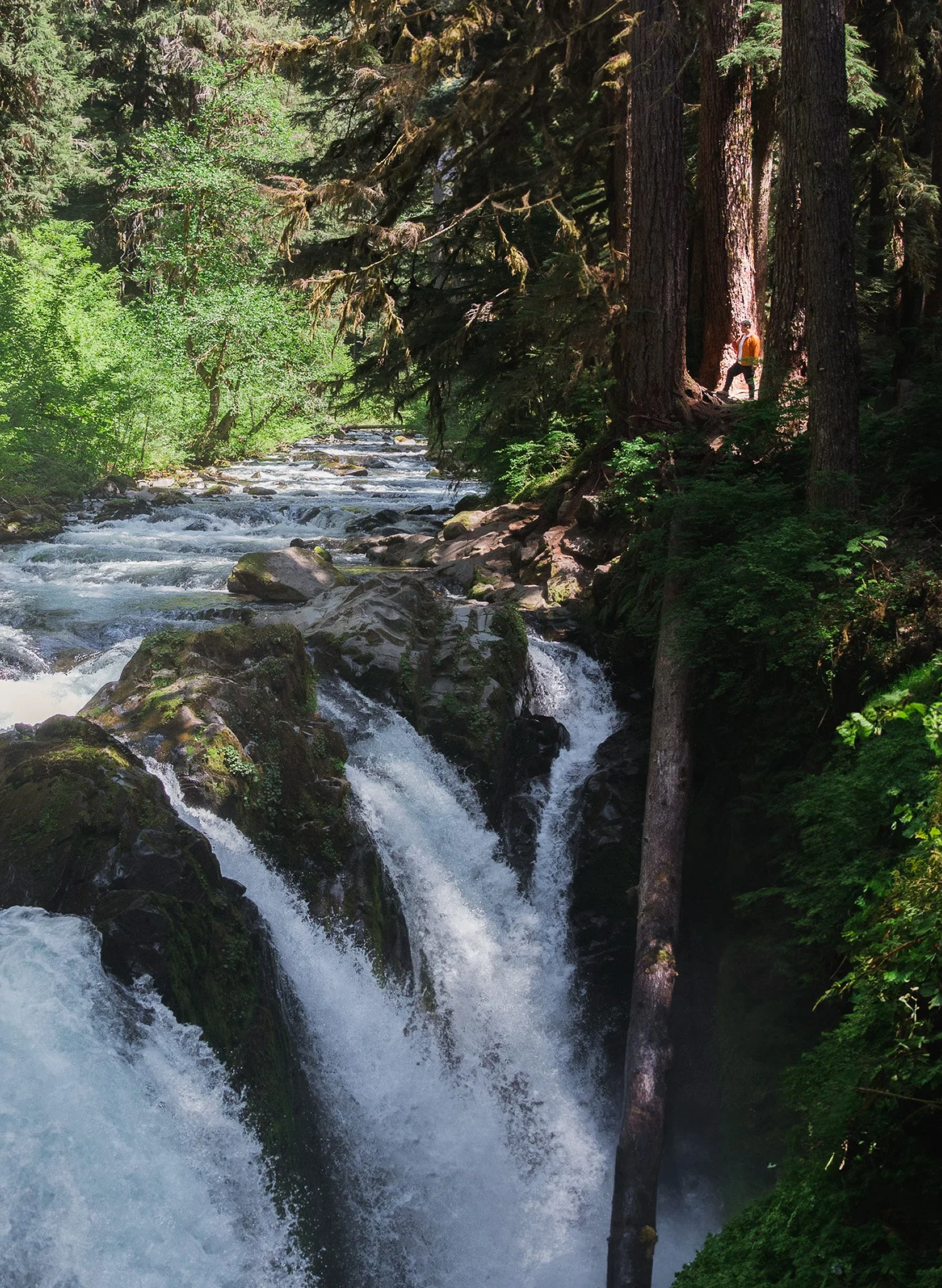 IMG_8132-Edit.jpg