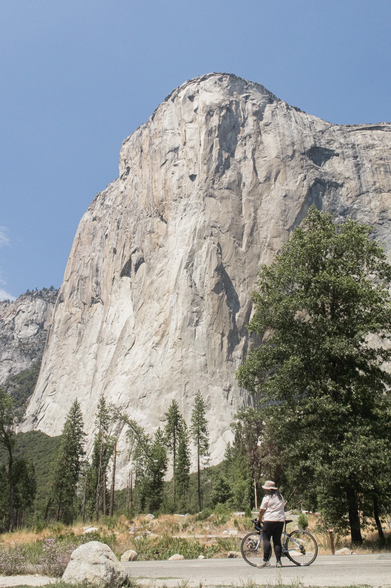 IMG_7786.jpg
