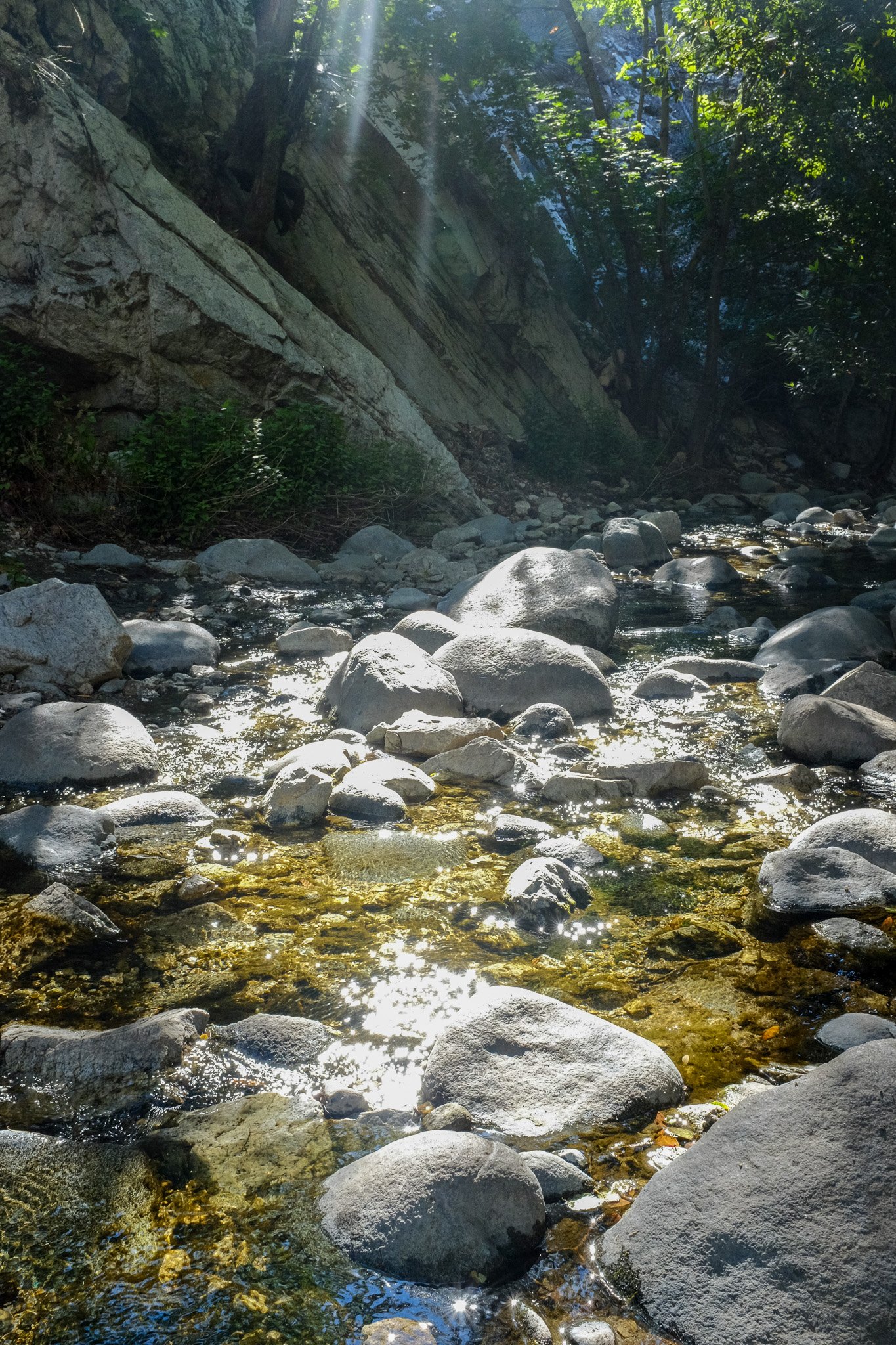 DSCF3298.jpg